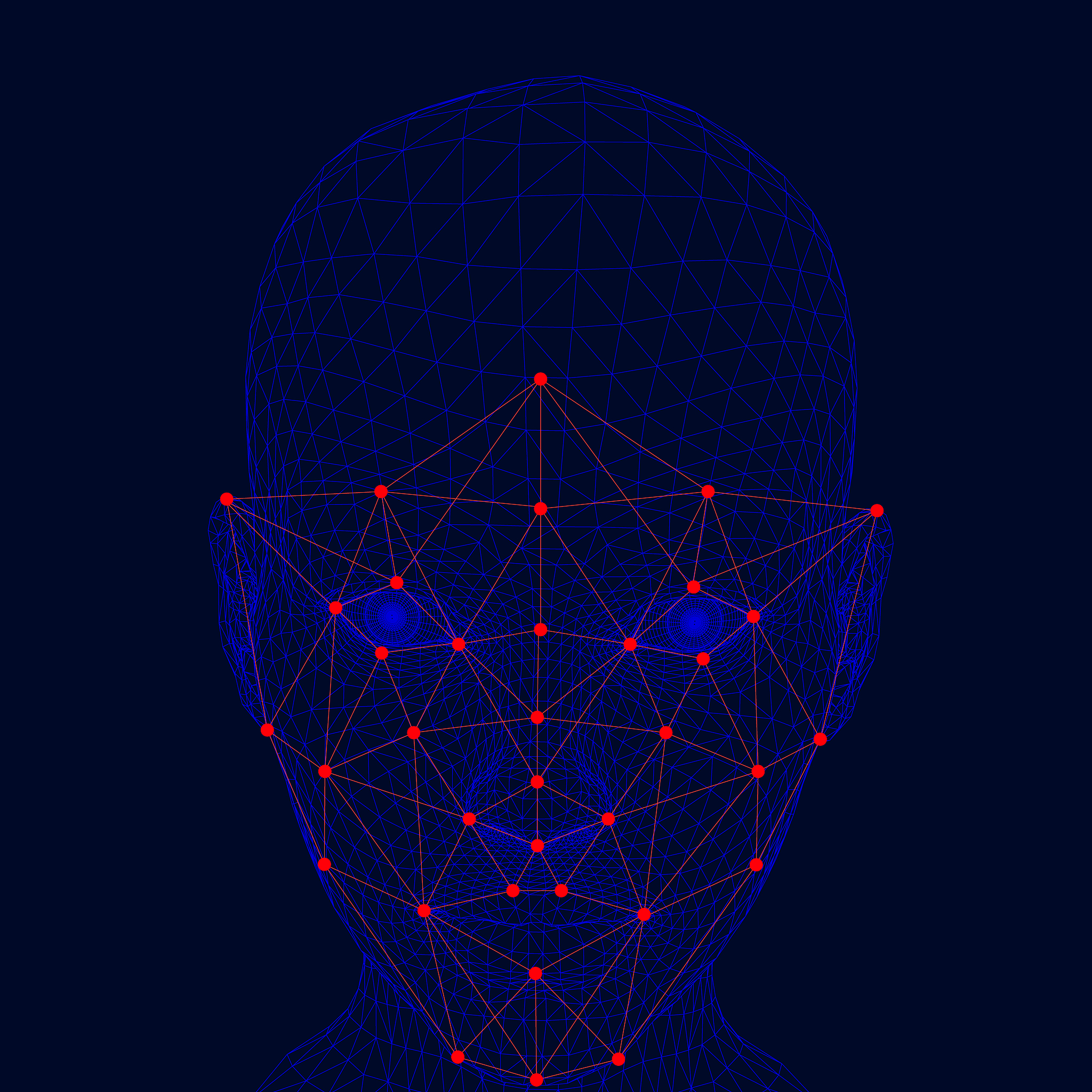 人脸关键点标注、人体枢图标注、道路线标注等常见标注类型