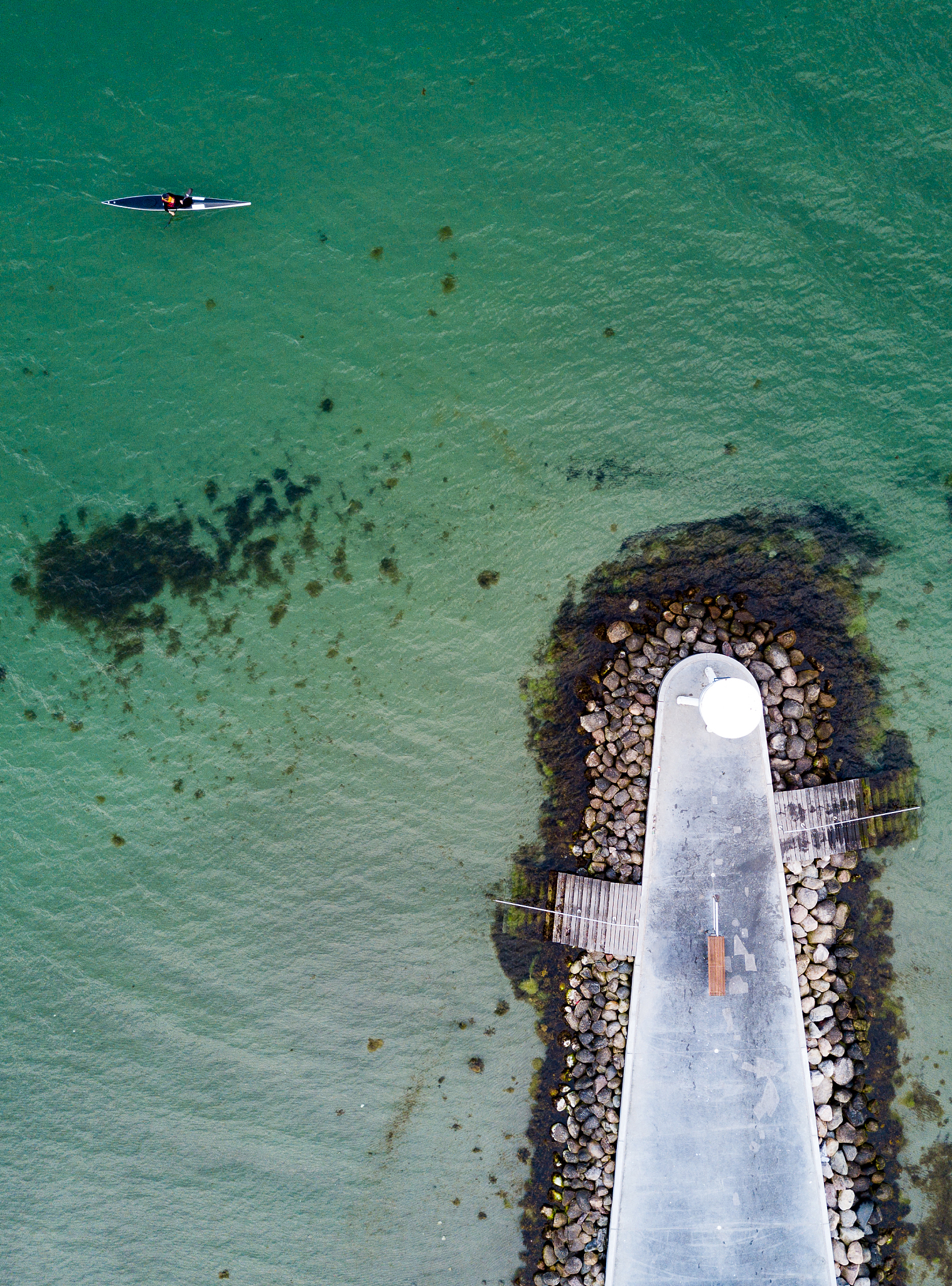 日本核污水排海：环境影响与解决方案