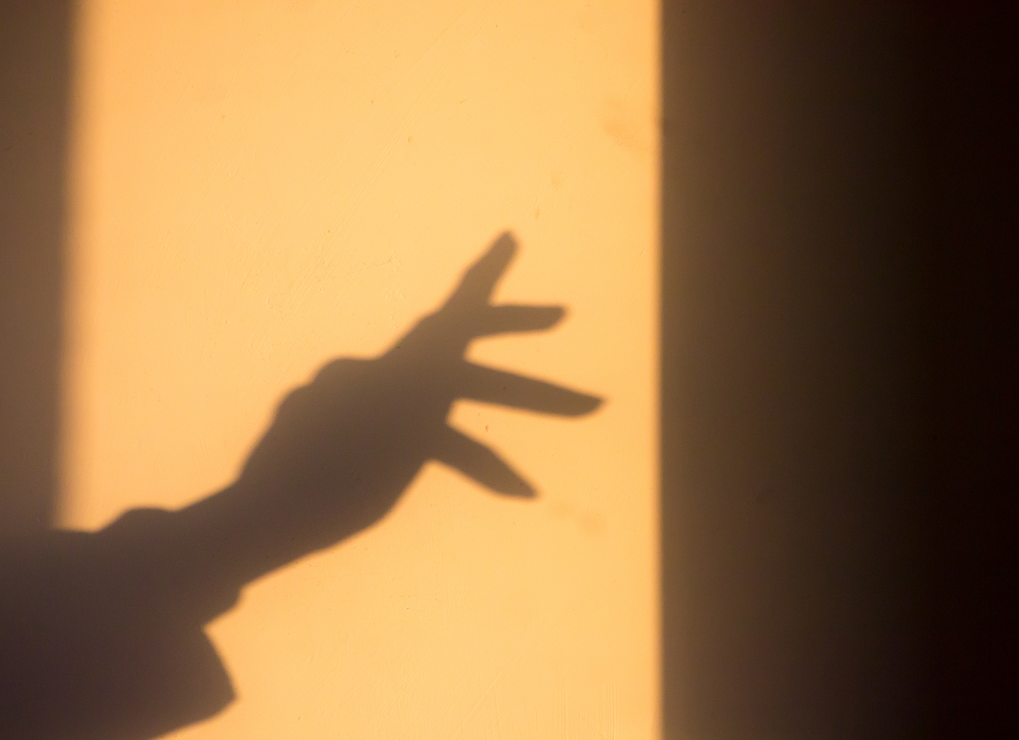 二年级手影戏创意无限：我和小伙伴们的欢乐时光