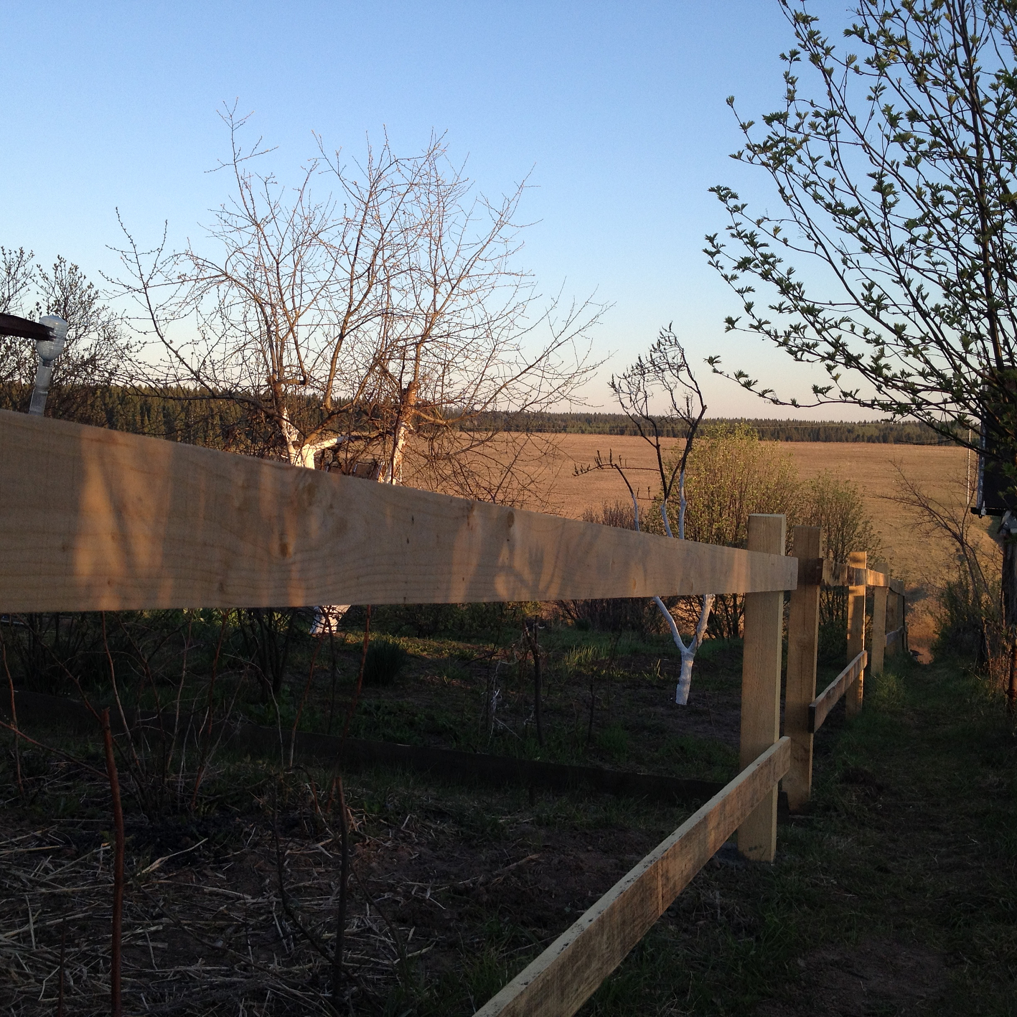 Exploring Composite Materials in Contemporary Ink Landscape Art: A Case Study of Hu Wei's 