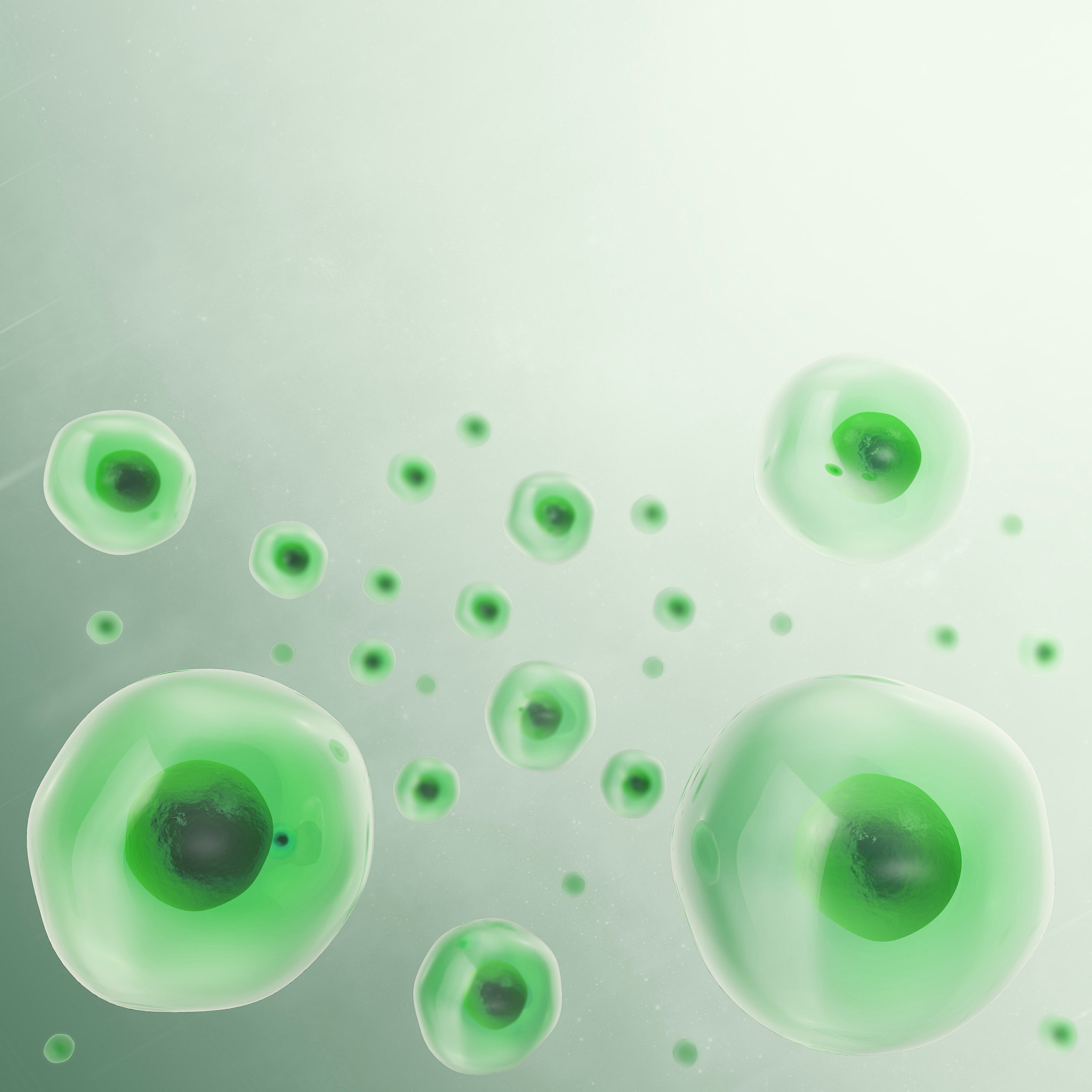生物学层次划分：从分子到群落