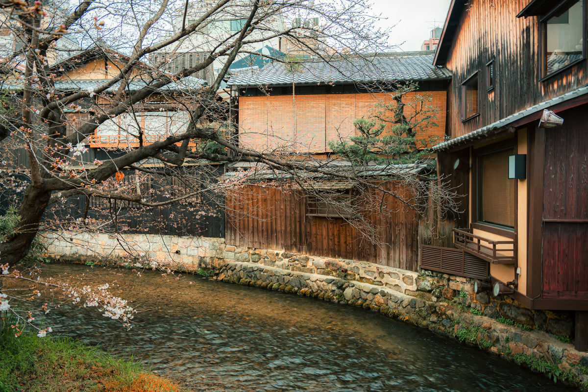 日本民宿：起源、发展与文化体验