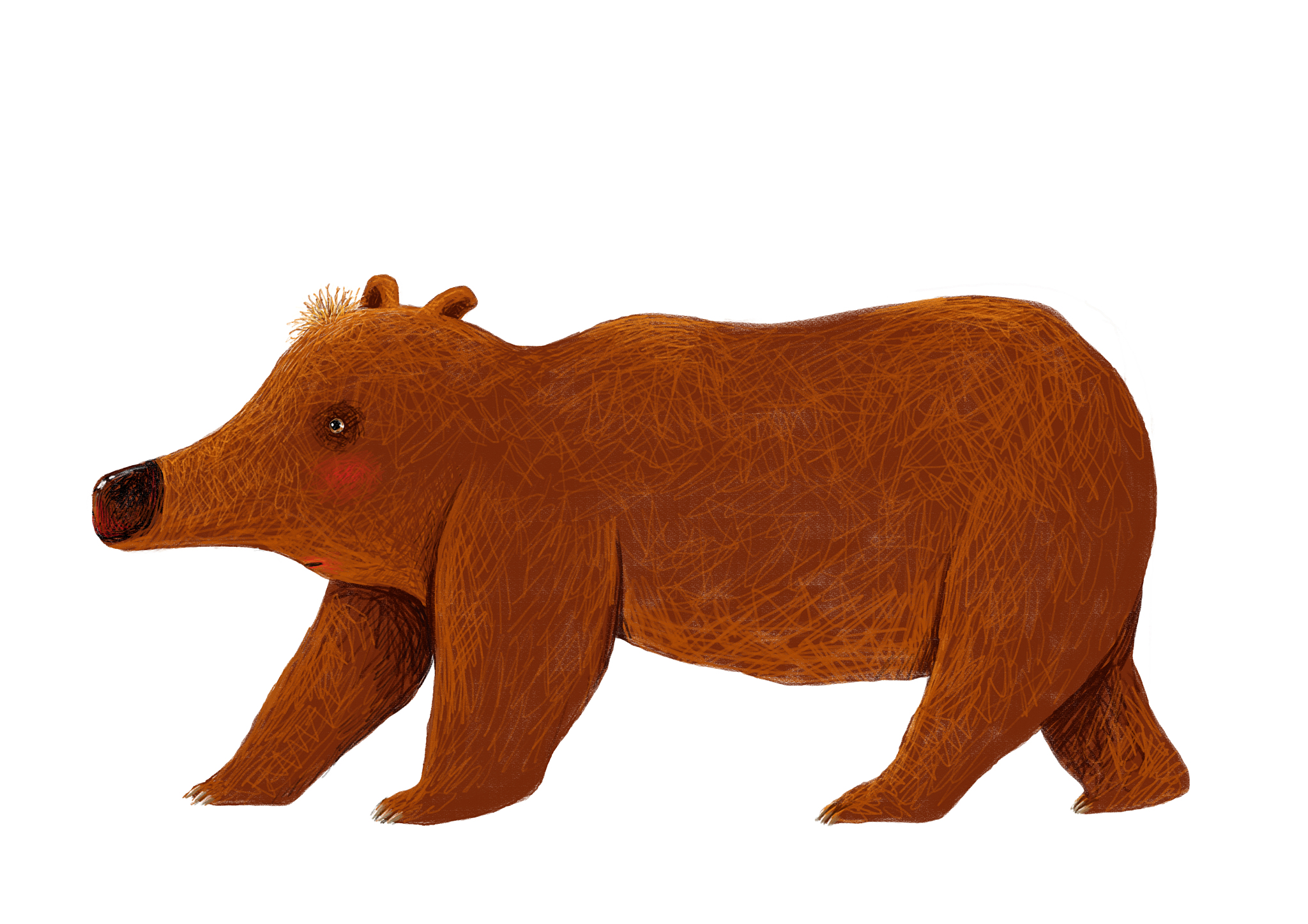 乌龟、大象、熊寿命三个和为378大象寿命是熊的2倍乌龟是熊的6倍它们分别寿命是多少！不要用方程。