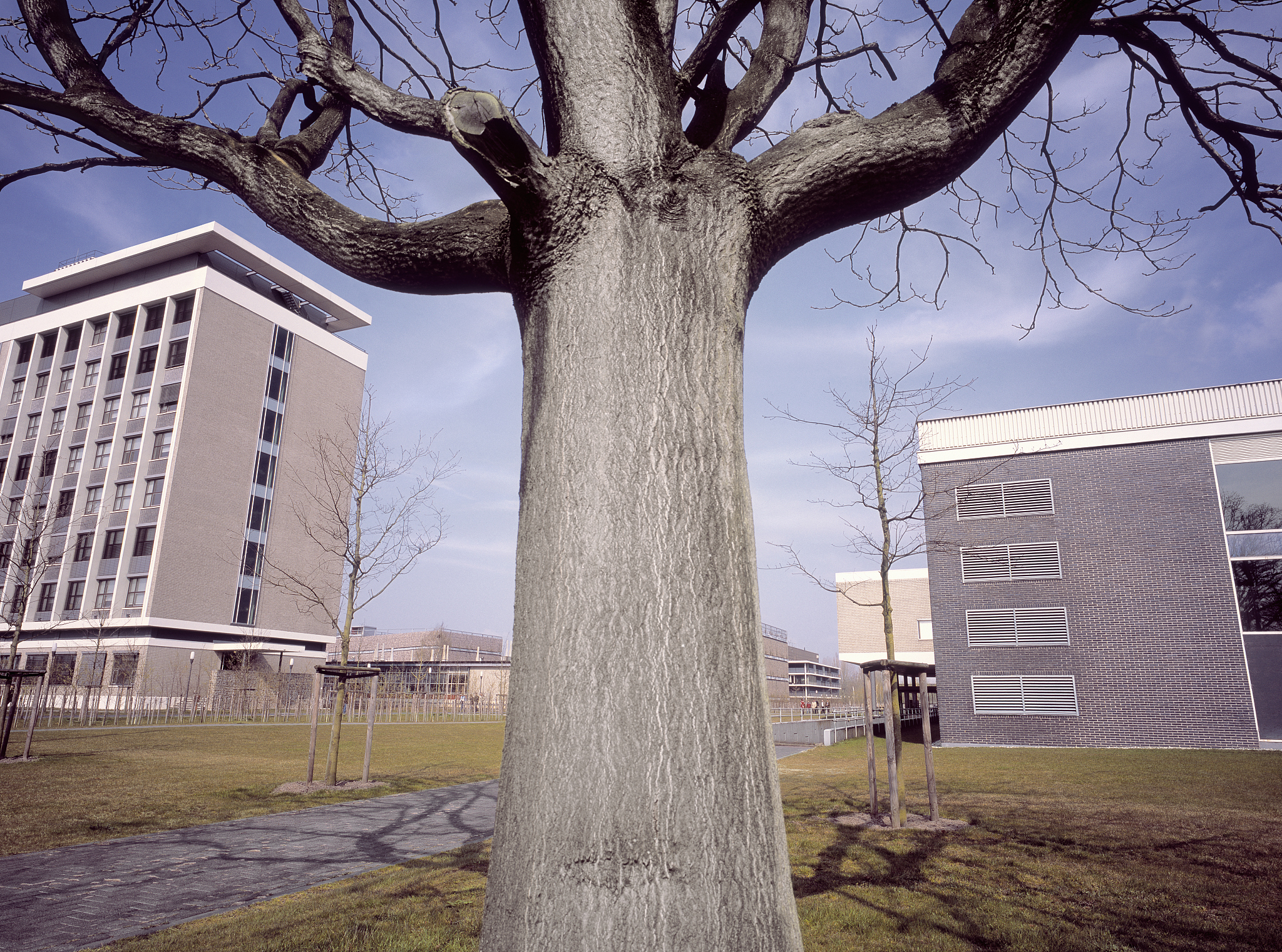 雅安北附实验学校怎么样？环境、师资、教学质量全面解析