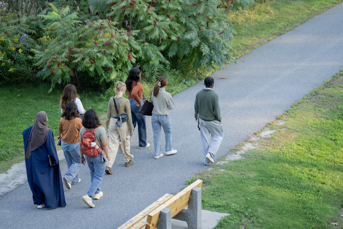 公园偶遇：陌生人带来的友谊