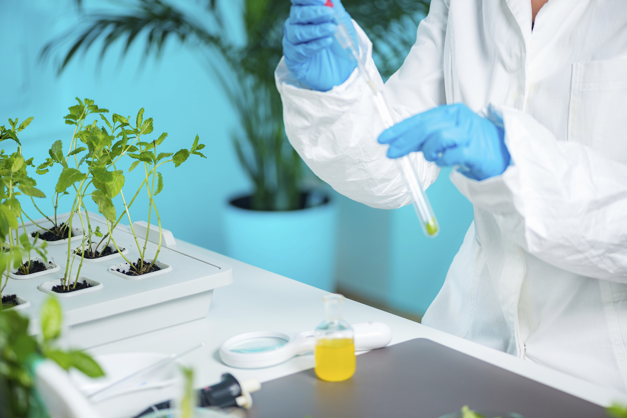 PAKISTAN JOURNAL OF BOTANY期刊稿件类型详细介绍