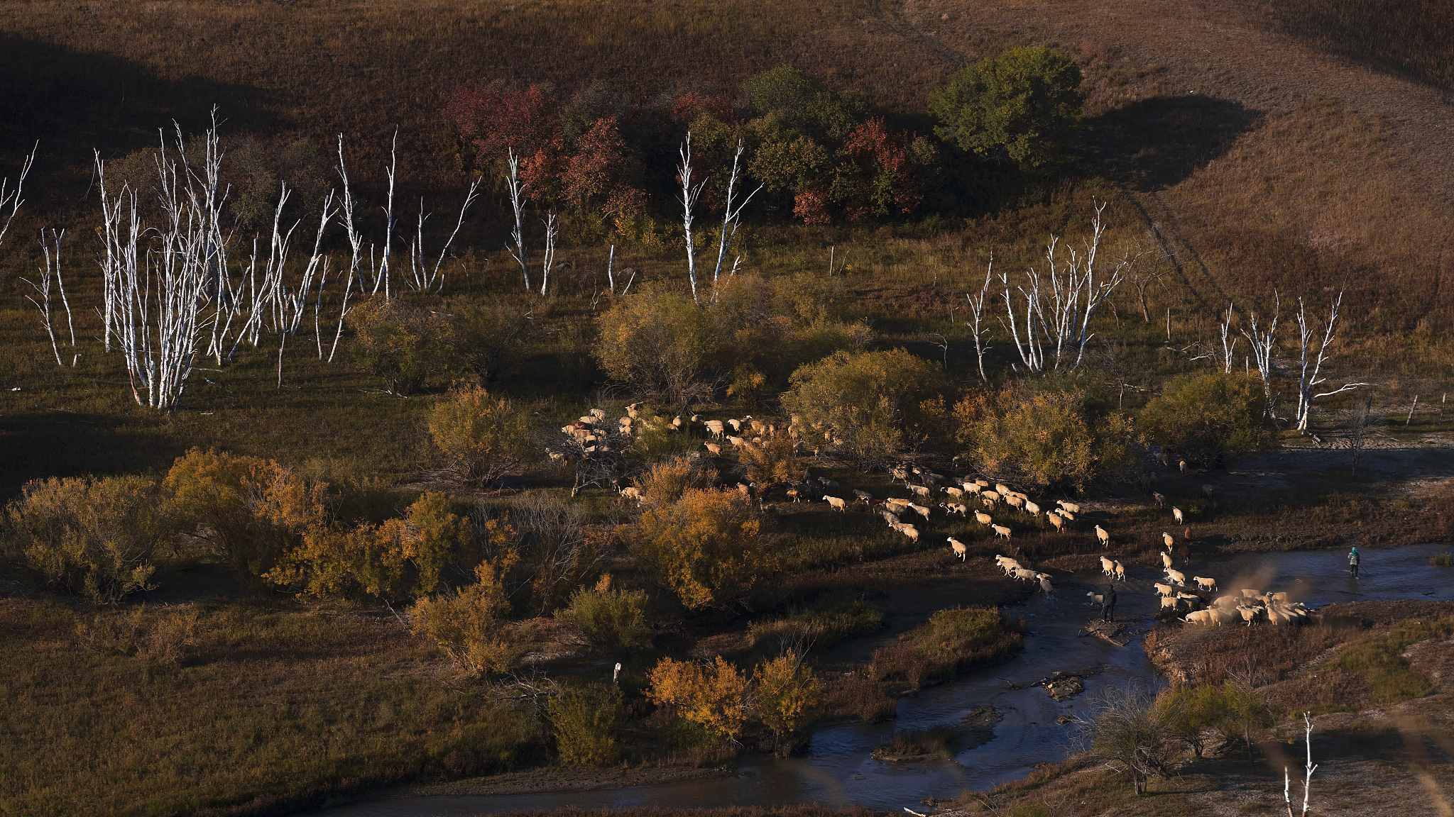商人仆人过河问题
