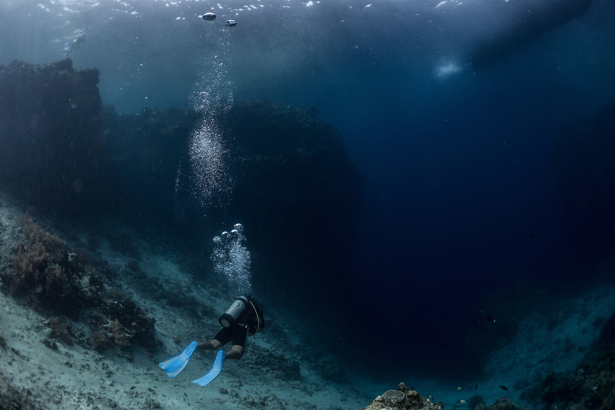 diver