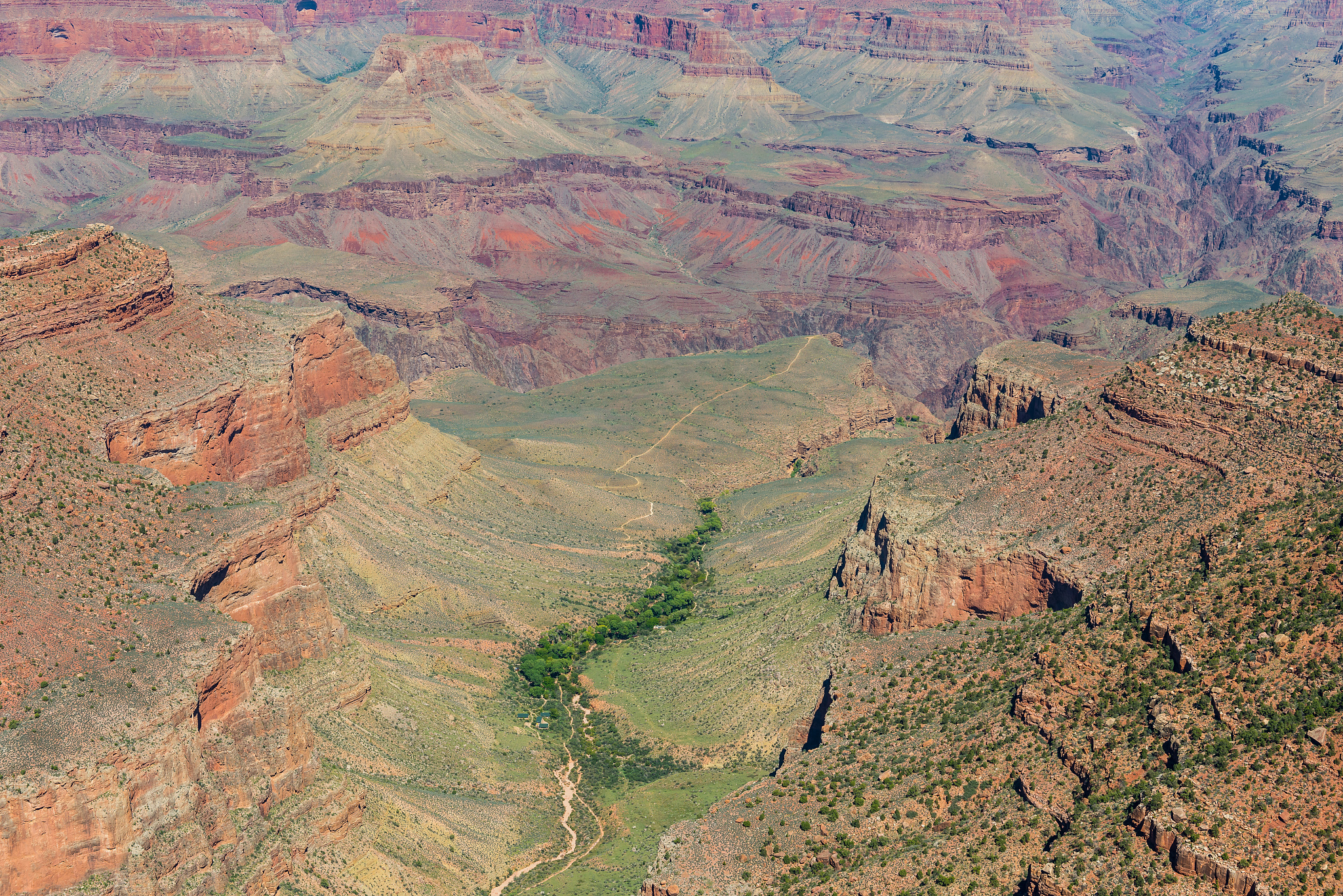 the grand canyon is a famous canyon in arizona, usa
