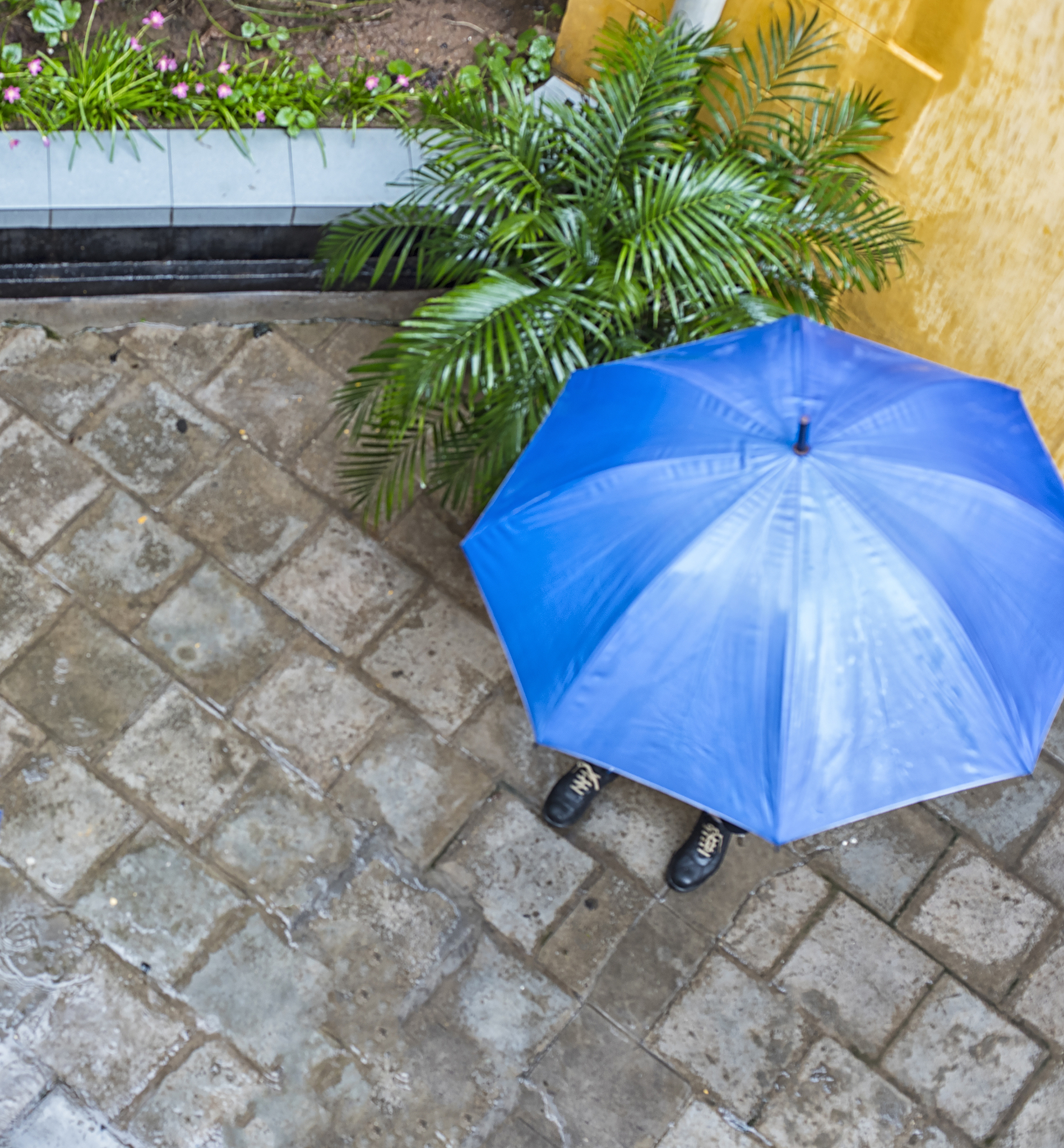 overhead view blue umbrella