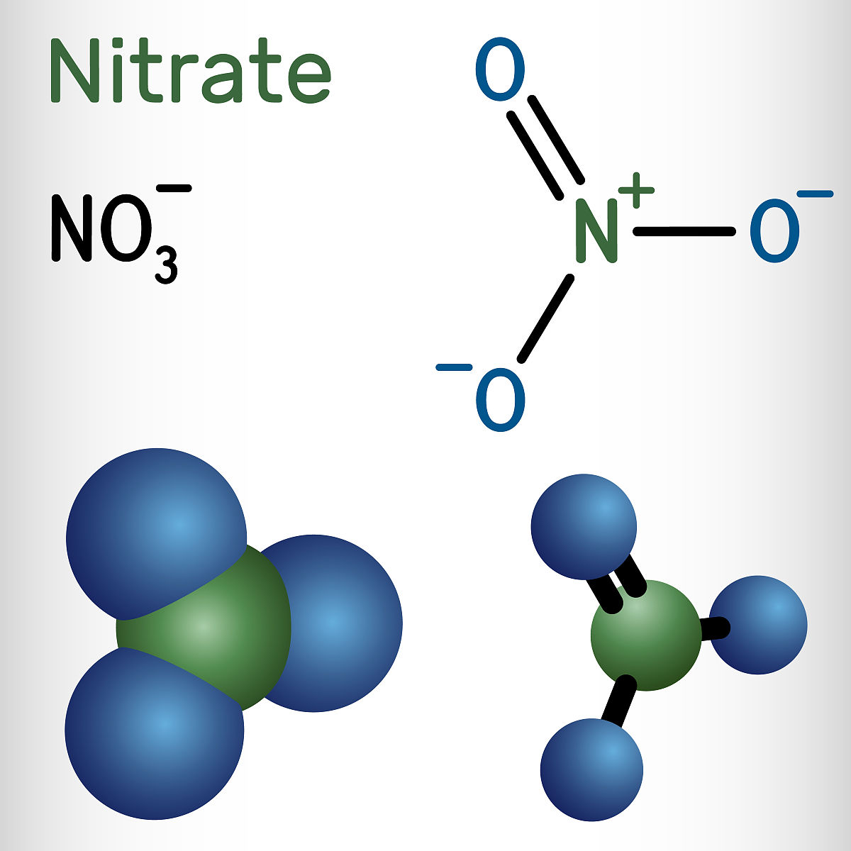 NH3在生物膜中的移动