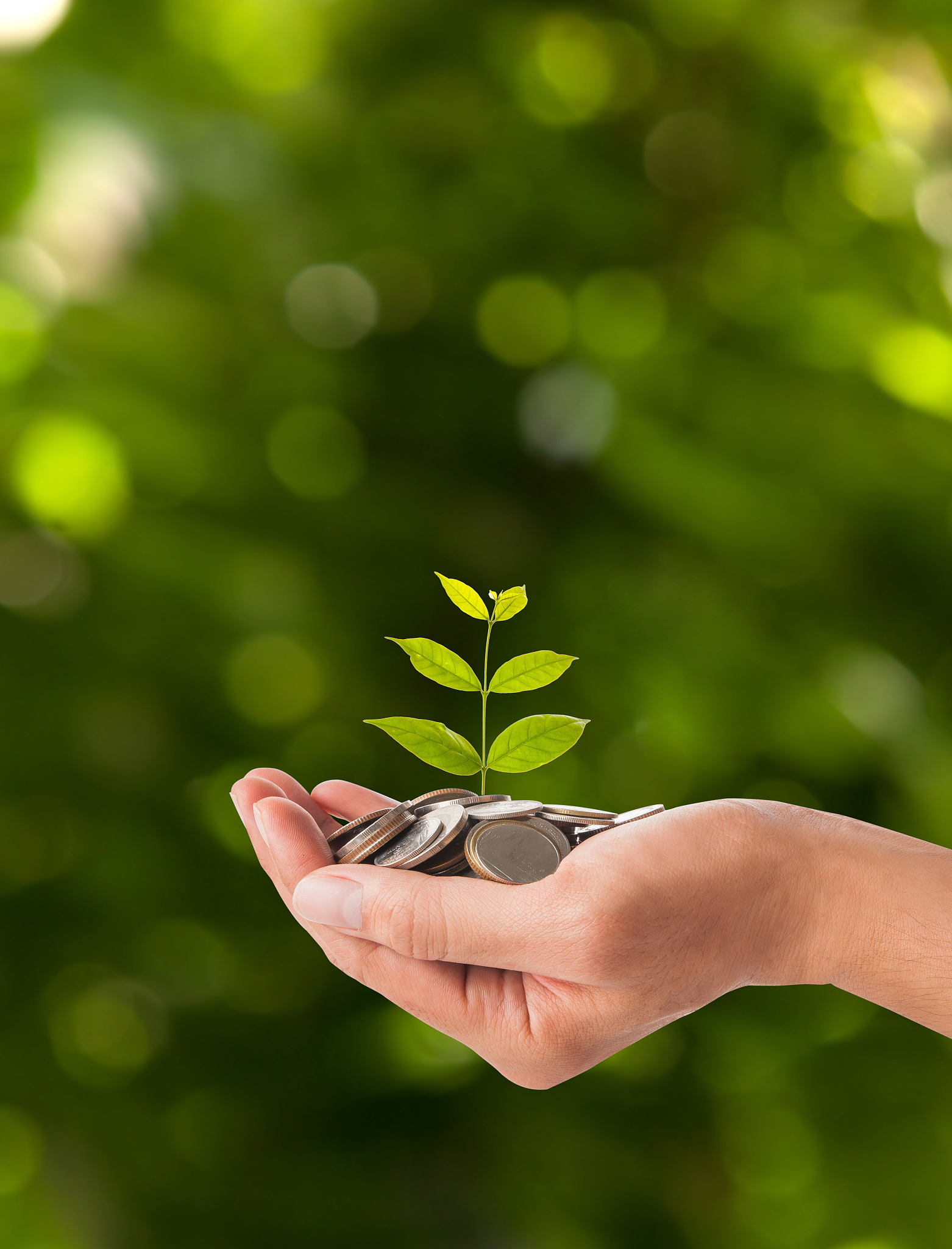 hand holding plant sprouting from a handful of coins
