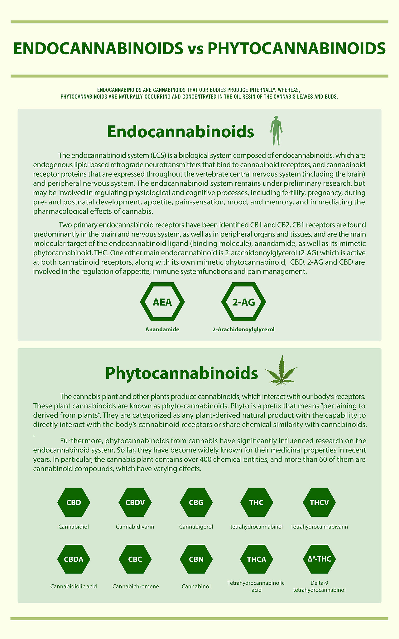 HARMFUL ALGAE期刊详细简介