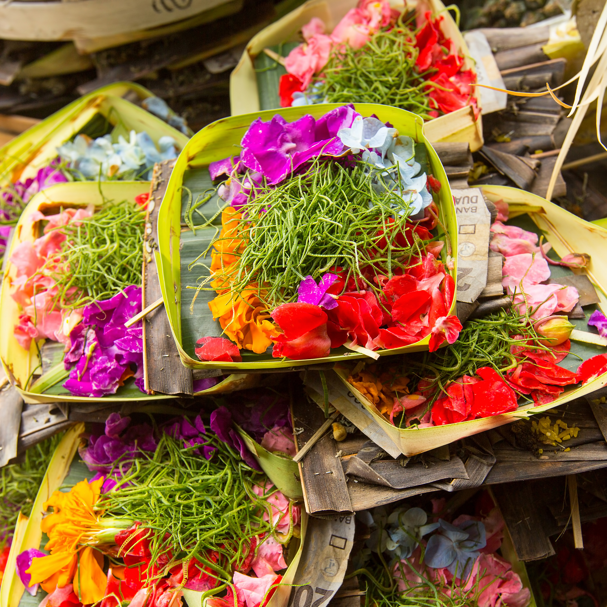 润色这个句子：she dwelt on that she had no opportunity to tend my parents so when holding sacrificial ceremonies in four seasons she was always meticulous about rituals ranging from choosing propitious dates