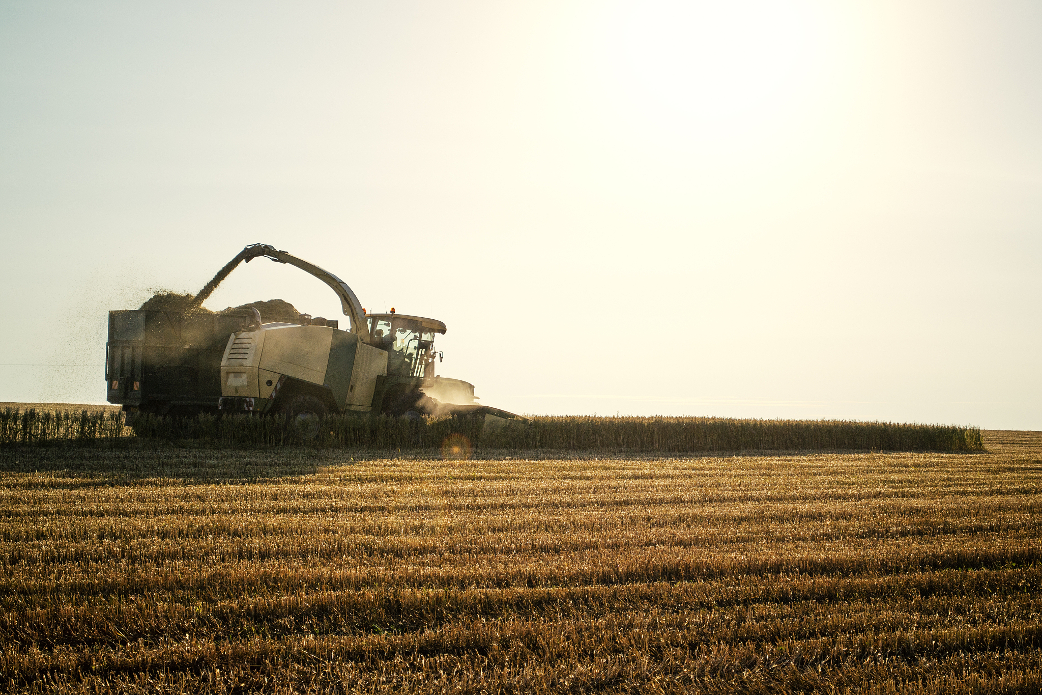 现代农艺技术专业毕业后会获得哪些证书