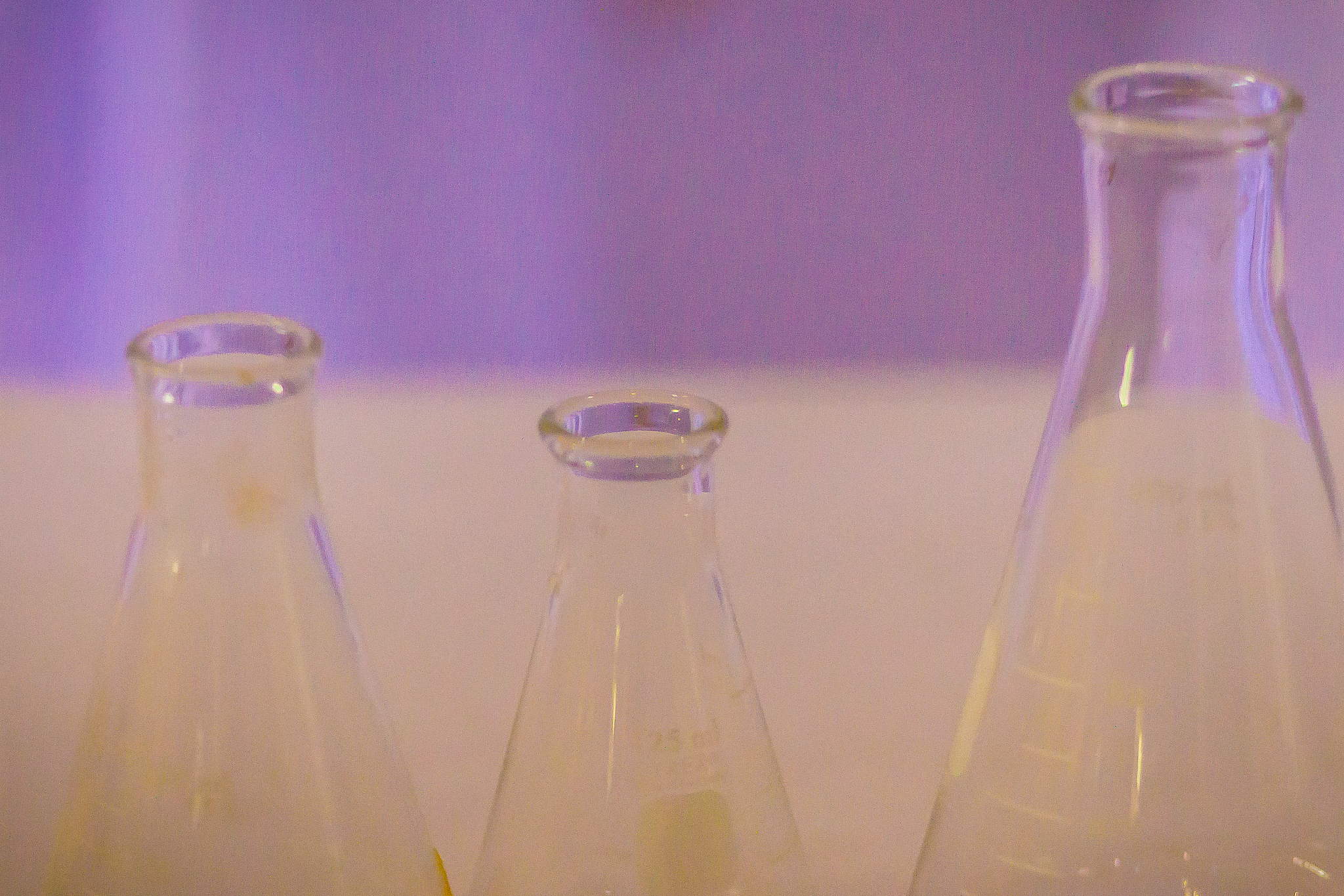 酵母微粒体提取：0.5mm玻璃珠酸洗处理详解