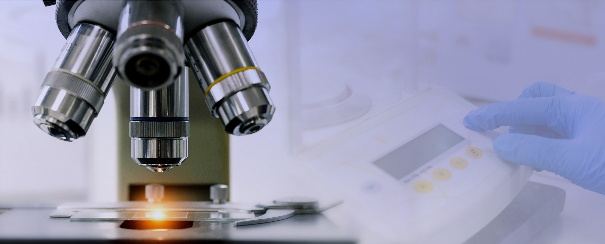 四川省蓬安县职业中学2019年招生简介