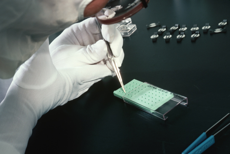 胶体金检测行业实习心得：技术应用、挑战与机遇