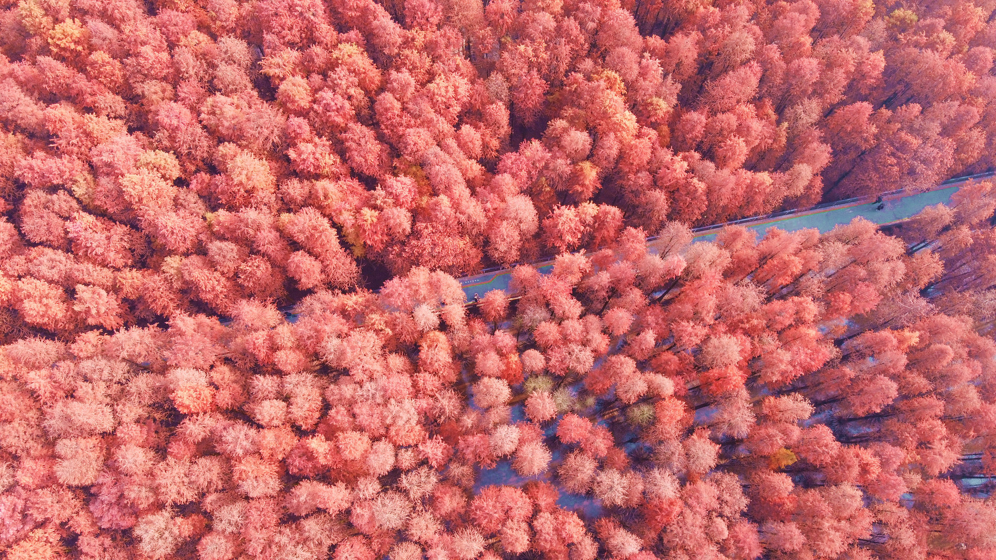 杭州中专学校排名_2023年杭州中专学校哪家好