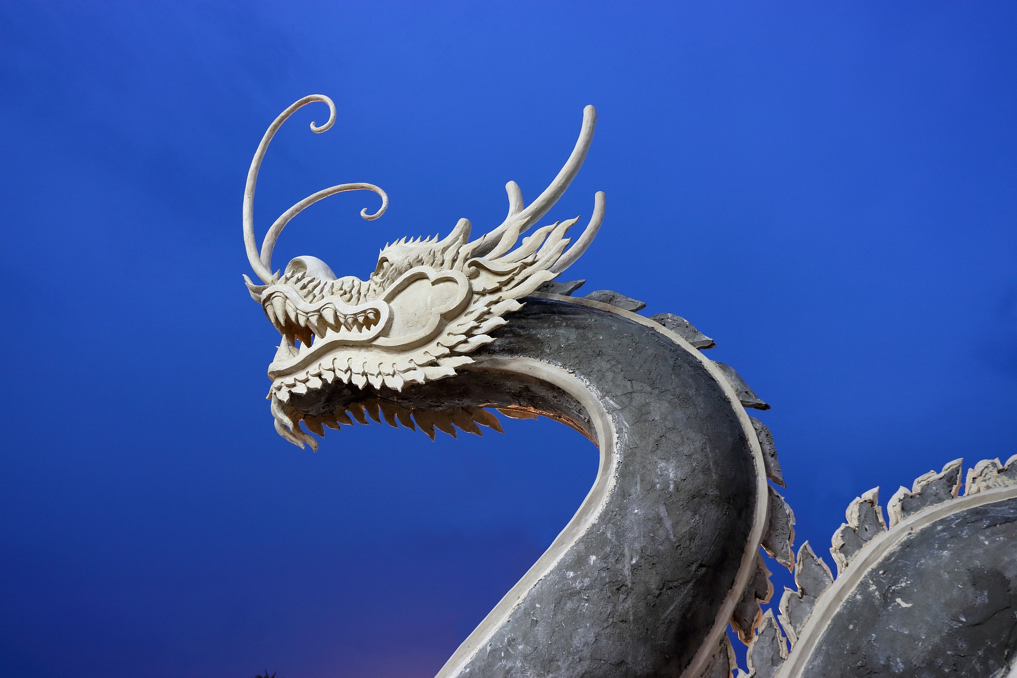 chinese dragon on blue sky after sunset