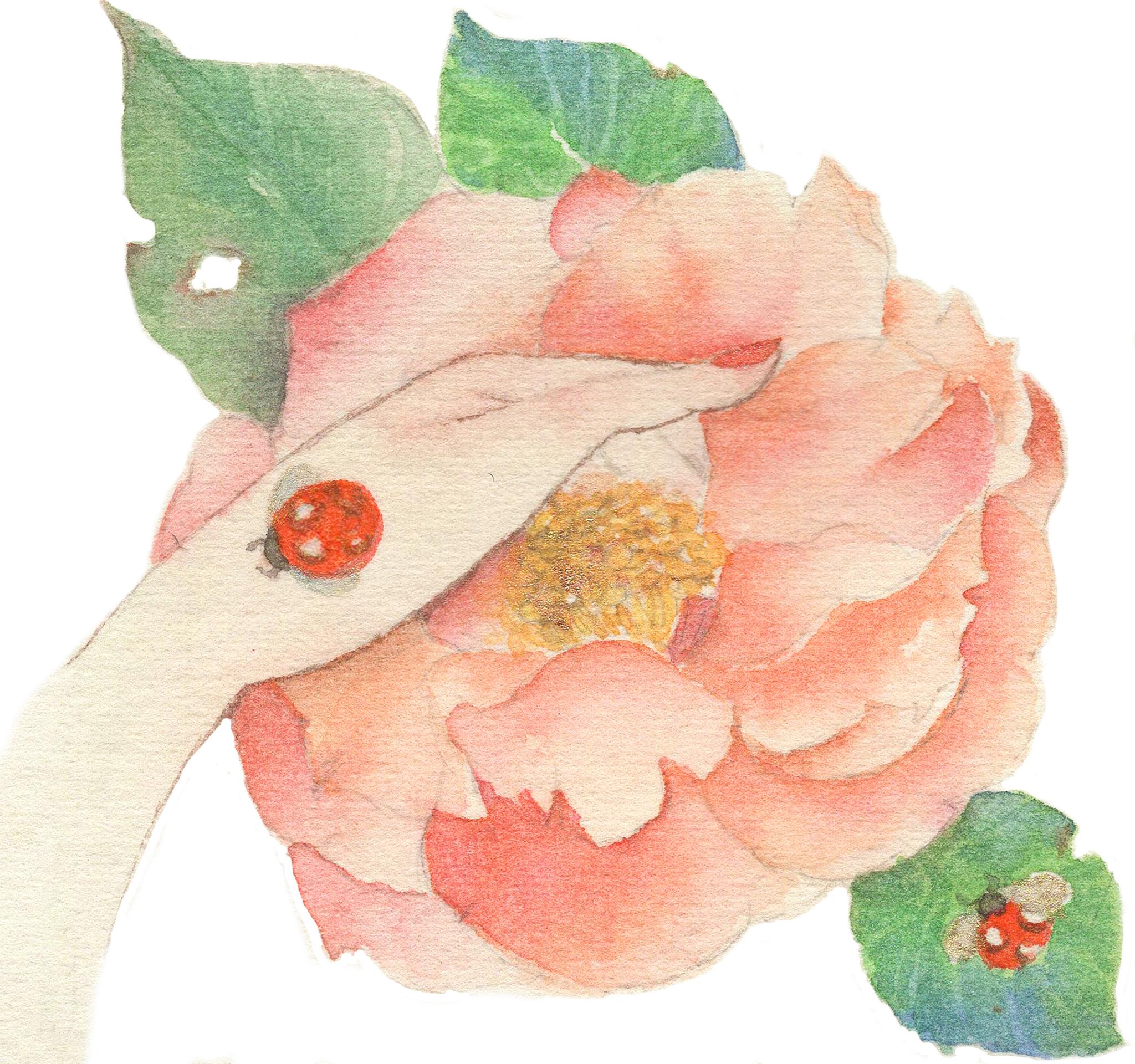 抖音爱情故事脚本：浪漫邂逅，幸福相守