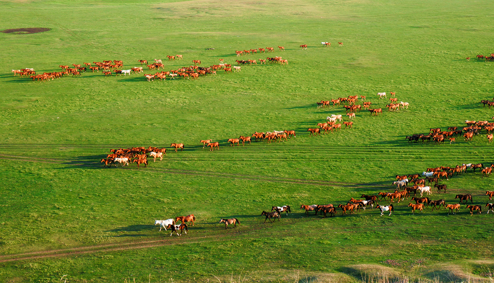 二维动画时空转场技术探究：定义、应用与创新