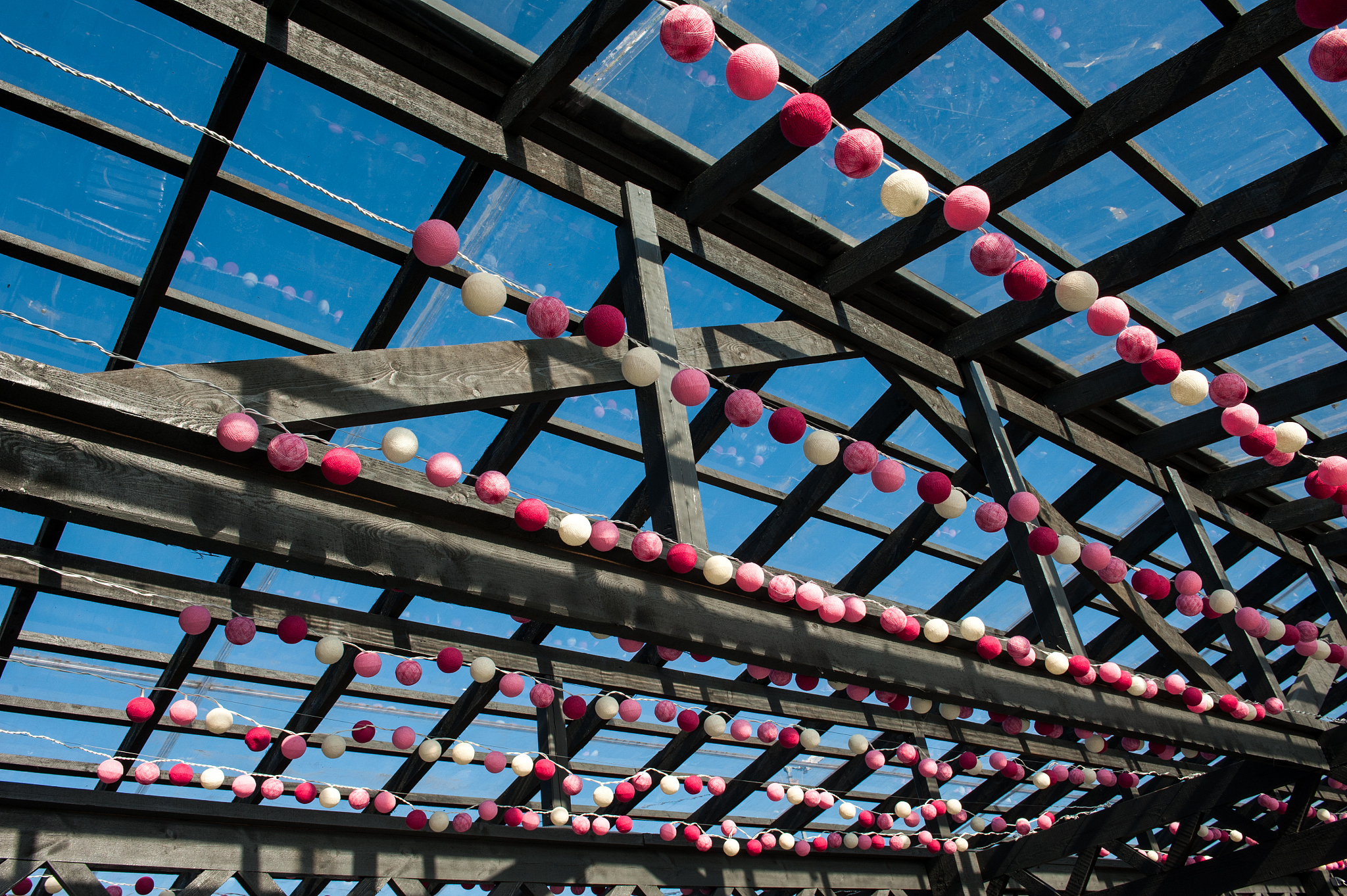 猫咪补充维生素b相关的标题