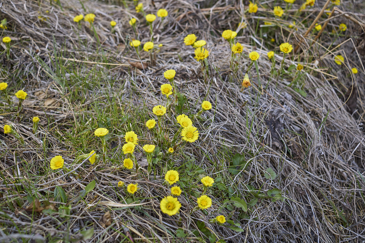 pF和nF分别是10的几次方F
