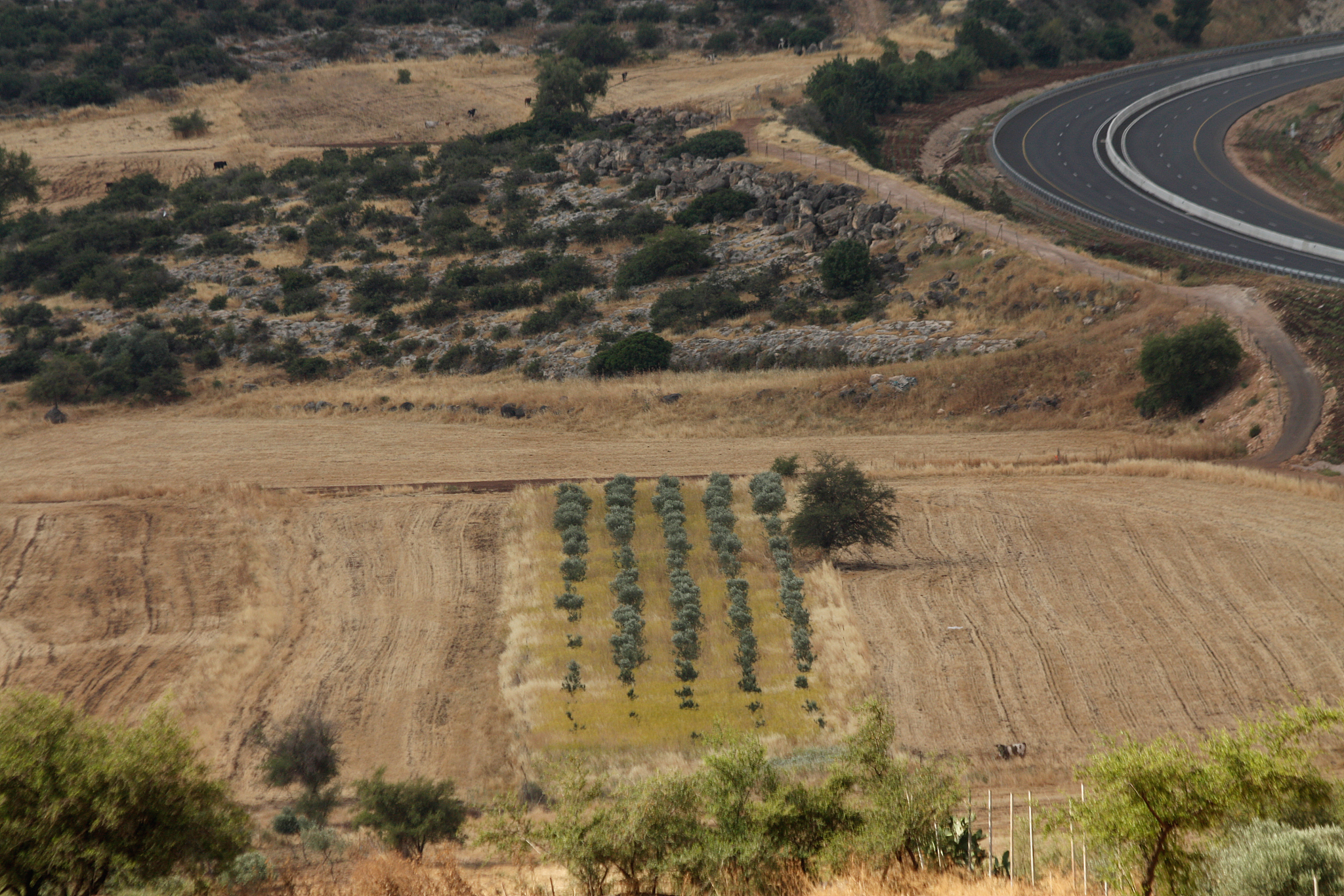 用恒古 默契 田垄 埋葬 土壤 丰饶写一段30个字的话