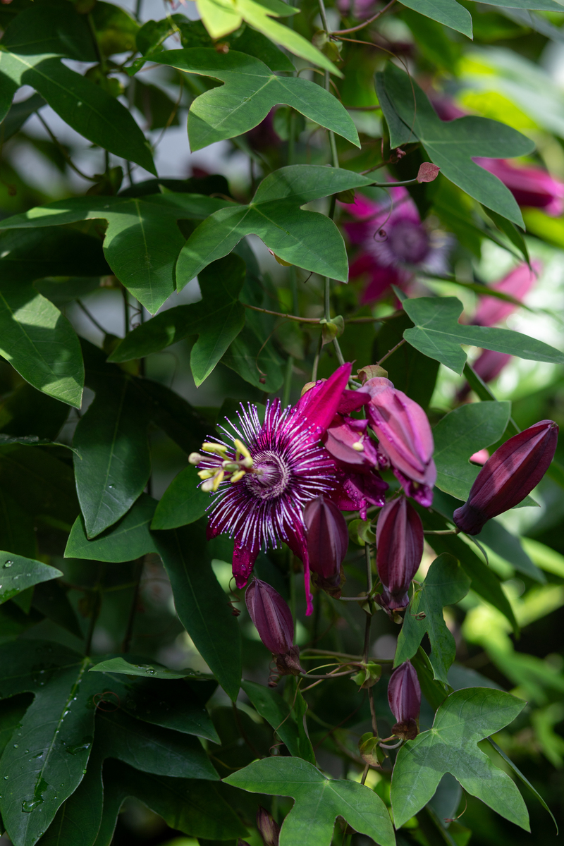 黑龙江生物科技职业学院水产养殖技术专业涉及哪些课程
