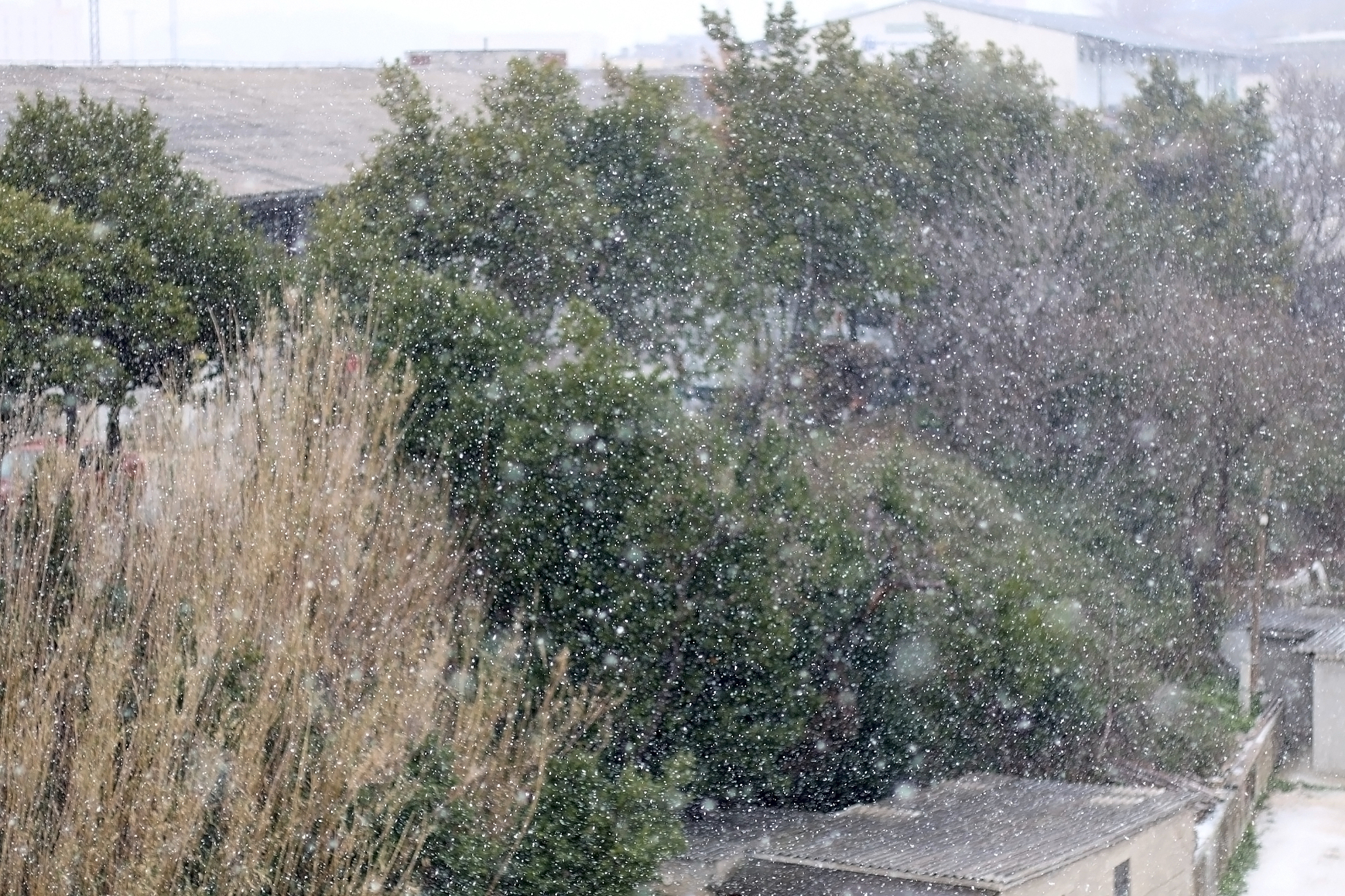 倒春寒提前来袭！如何应对寒冷天气？