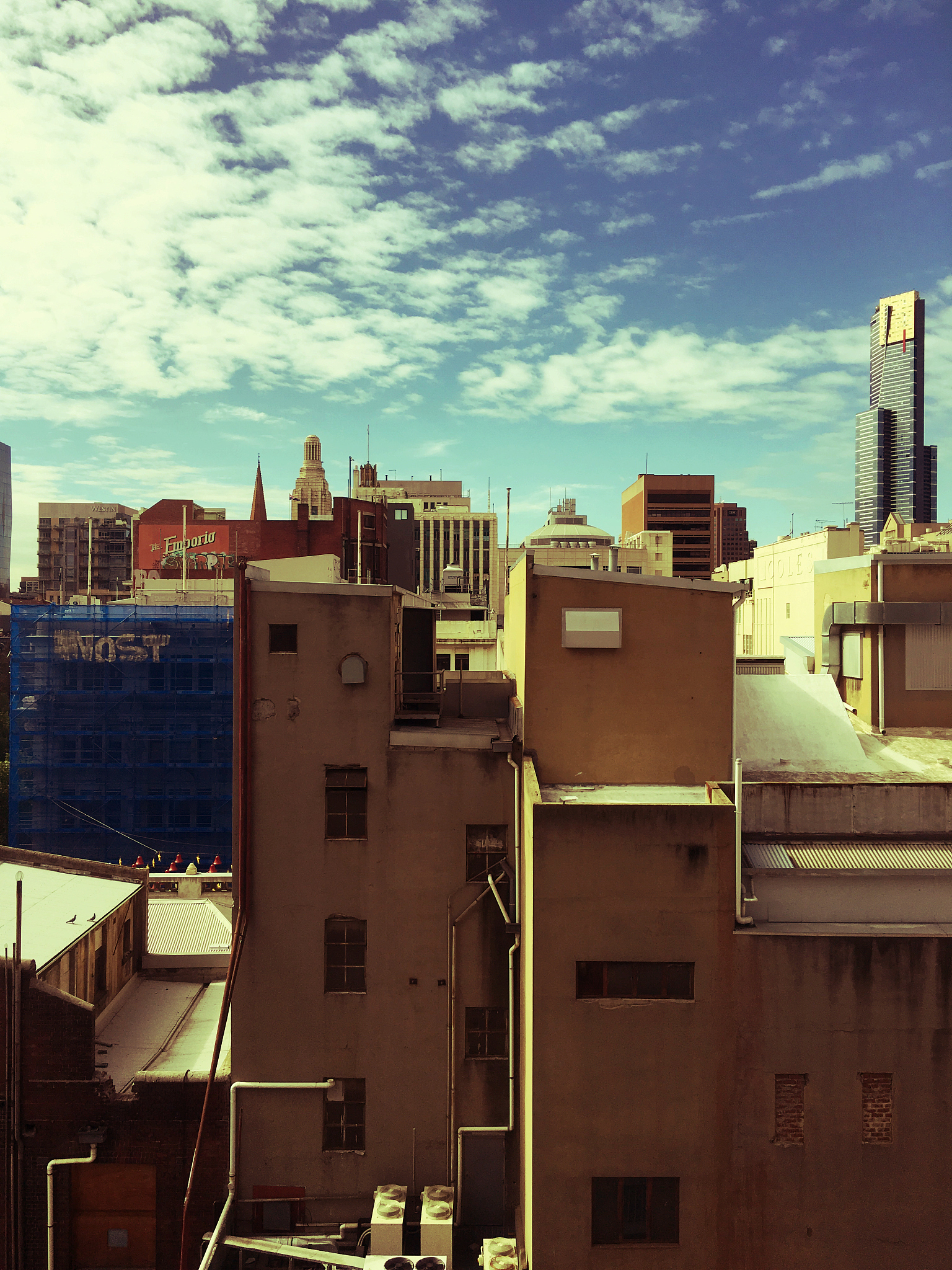 From the Stoop: A Look into Esperanza's World Through the Eyes of a Neighbor