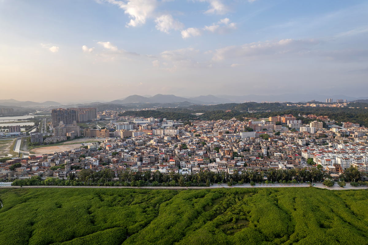 俯瞰海口城镇和泥滩红树林
