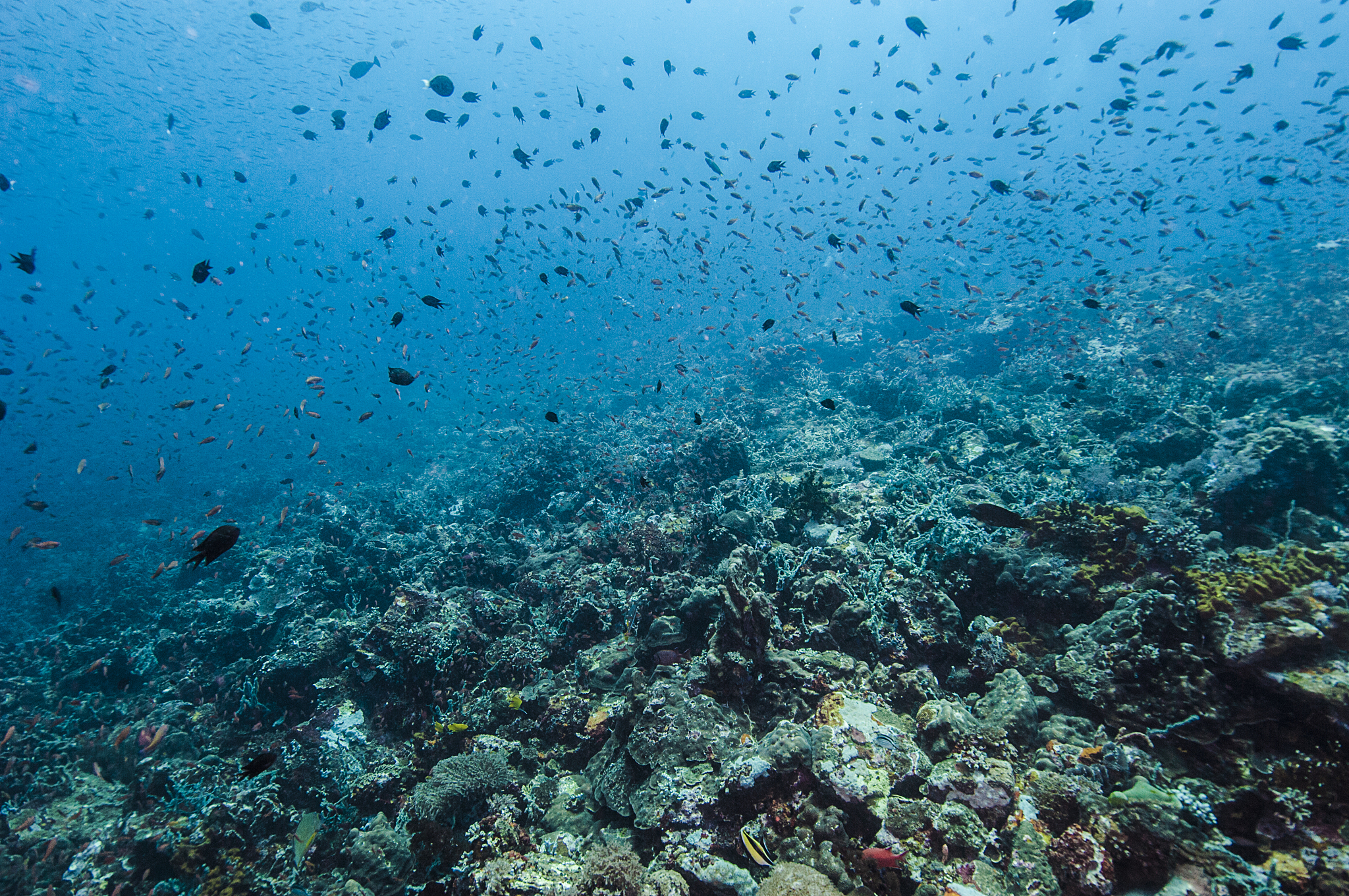 海洋药学专业是属于什么学科用