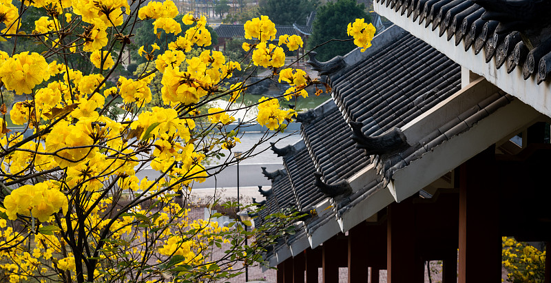 广西广播电视学校2021年招生条件是什么