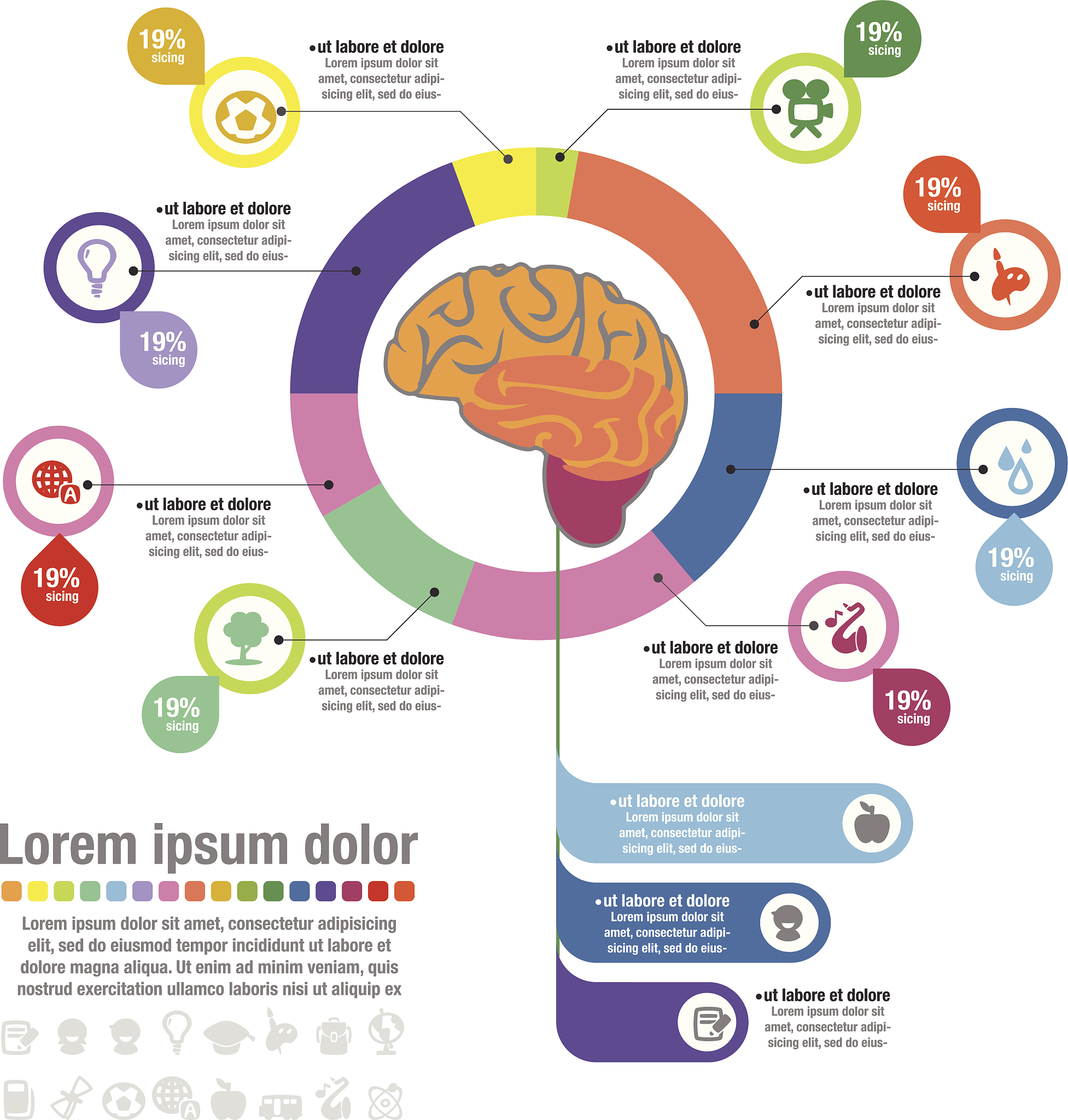神经系统和脑发展过程: 从胚胎到成年