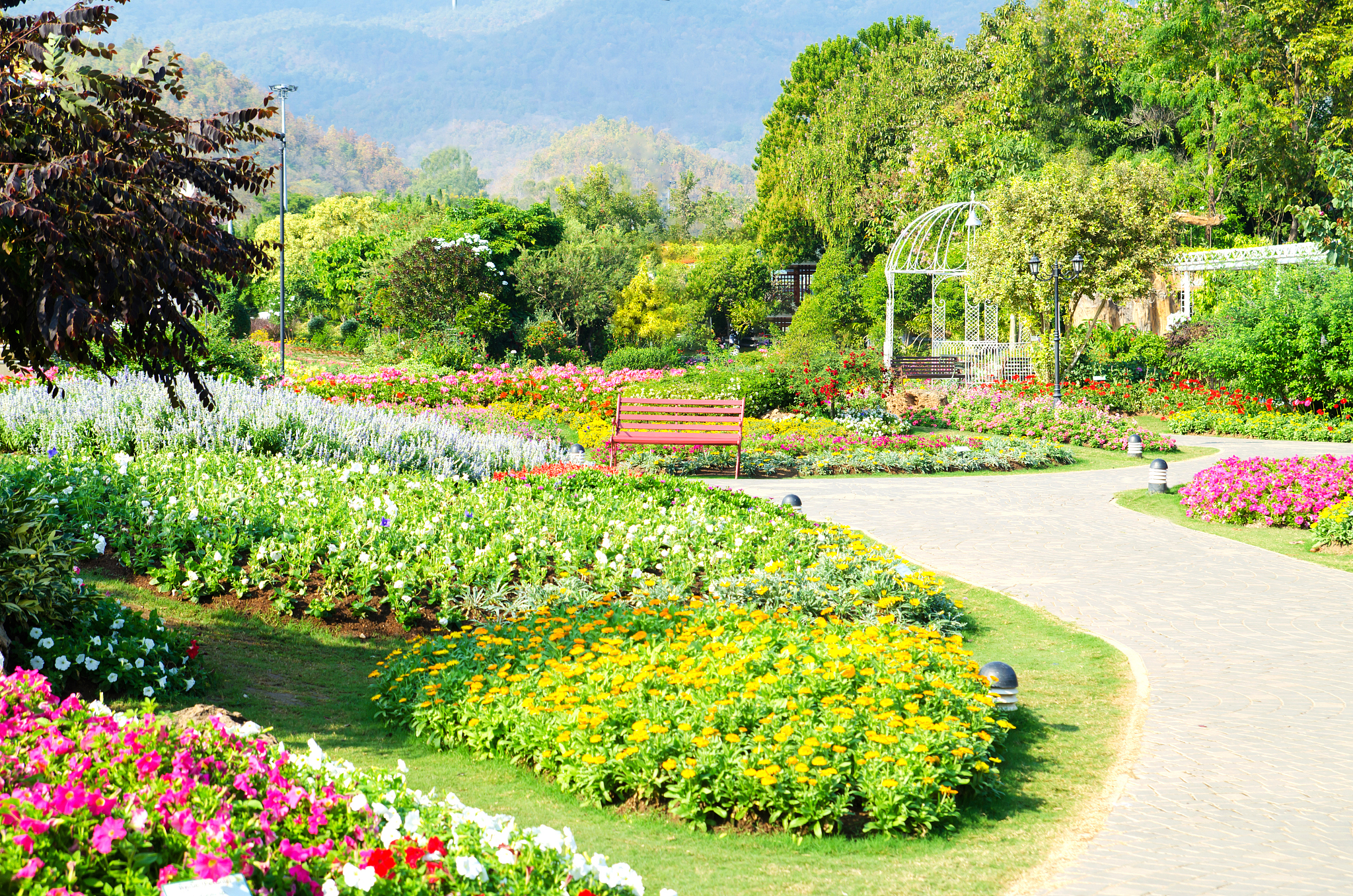 种下新绿植，孕育新希望：演讲稿 | 城市绿化与生态环境保护