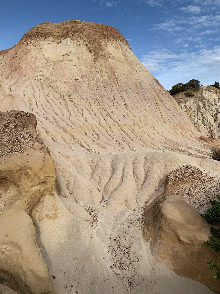 全国食糖现货价格和制糖集团价格差异是什么？广西白糖现货价格与南宁站台价格区别是什么？继续