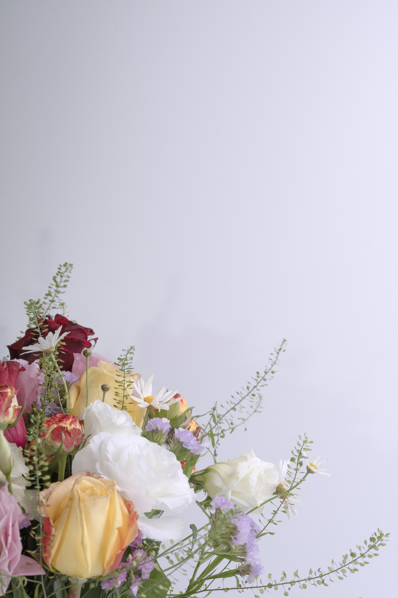 形容花好看的文案