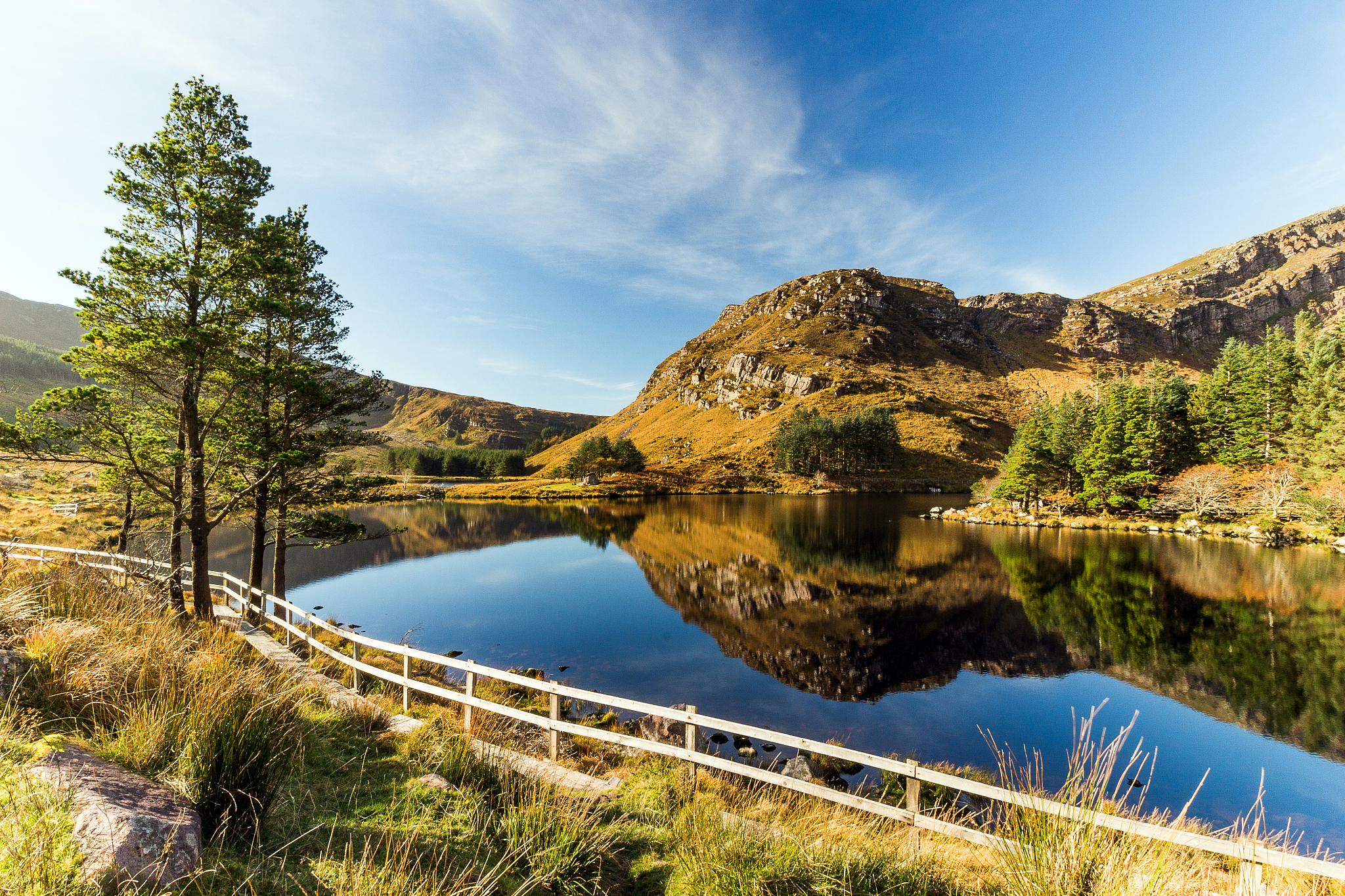 glanteenassig forest park kerry ireland