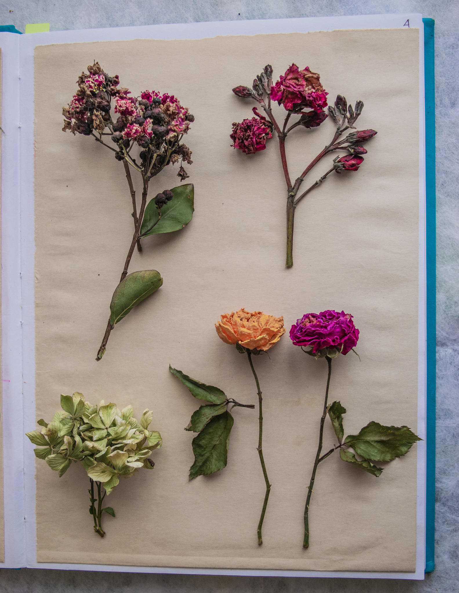 收集落花粘贴成画活动策划案的活动背景