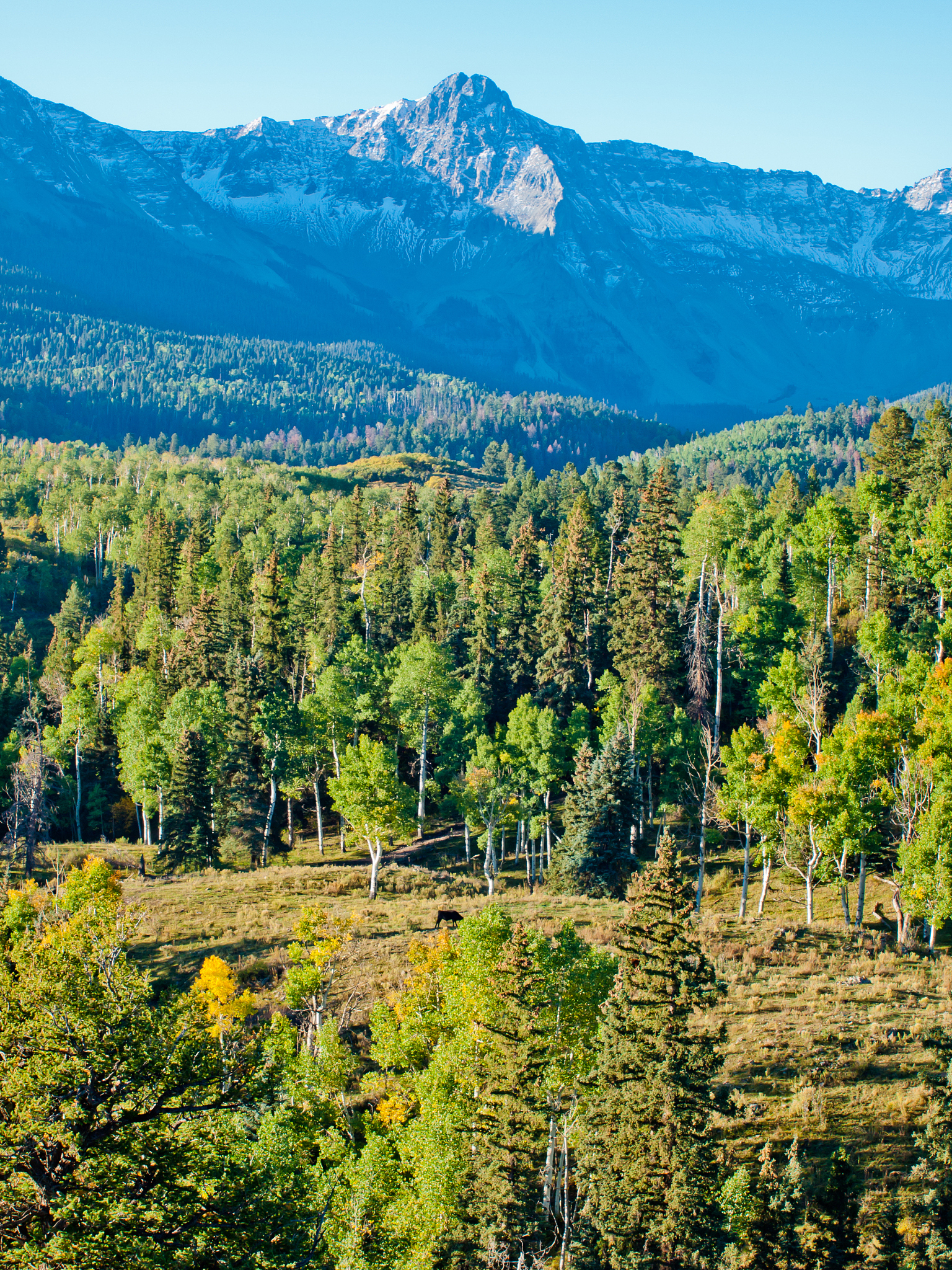 Walden: Simplicity, Nature, and Thoreau's Literary Theory