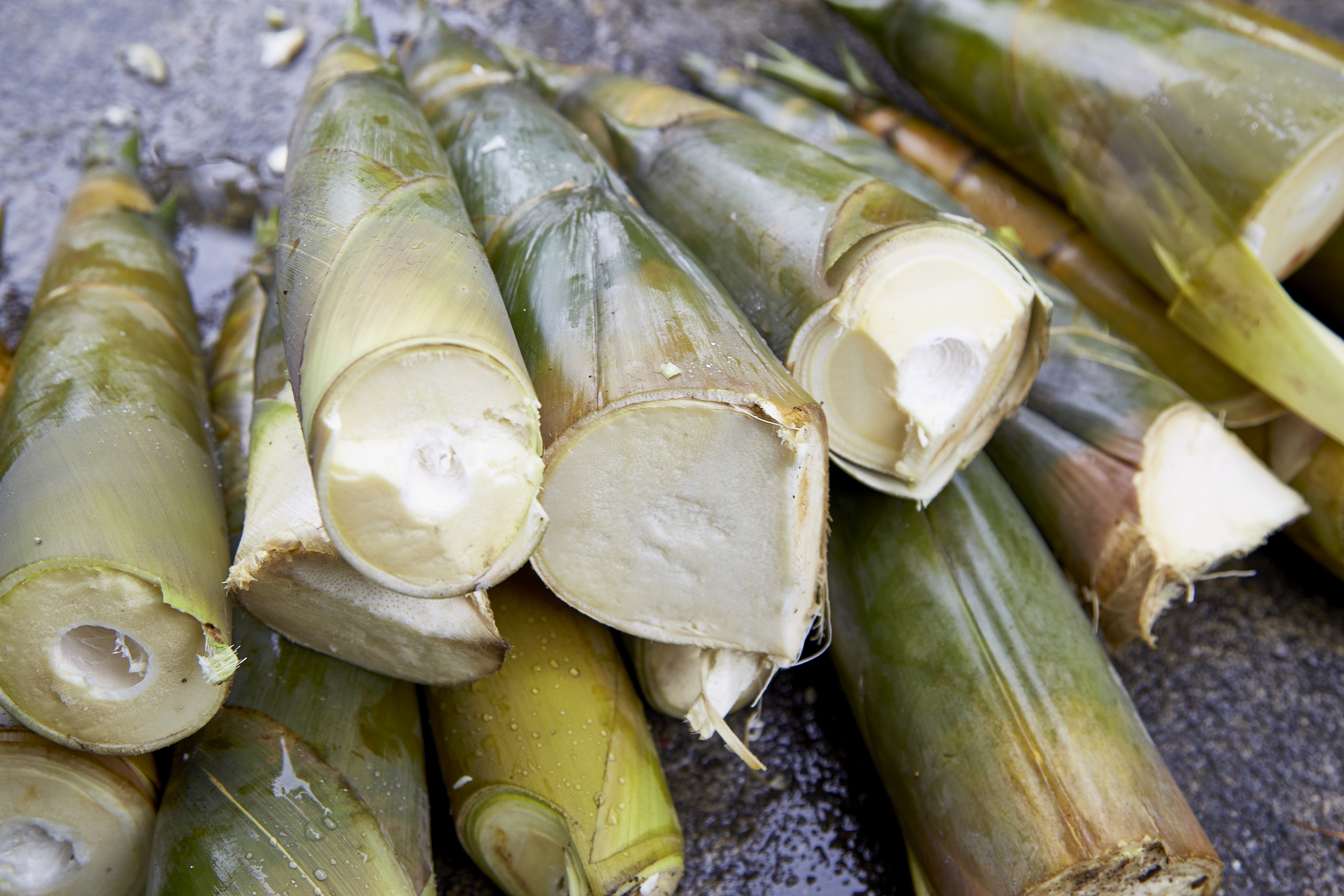 小竹笋可以吃吗，