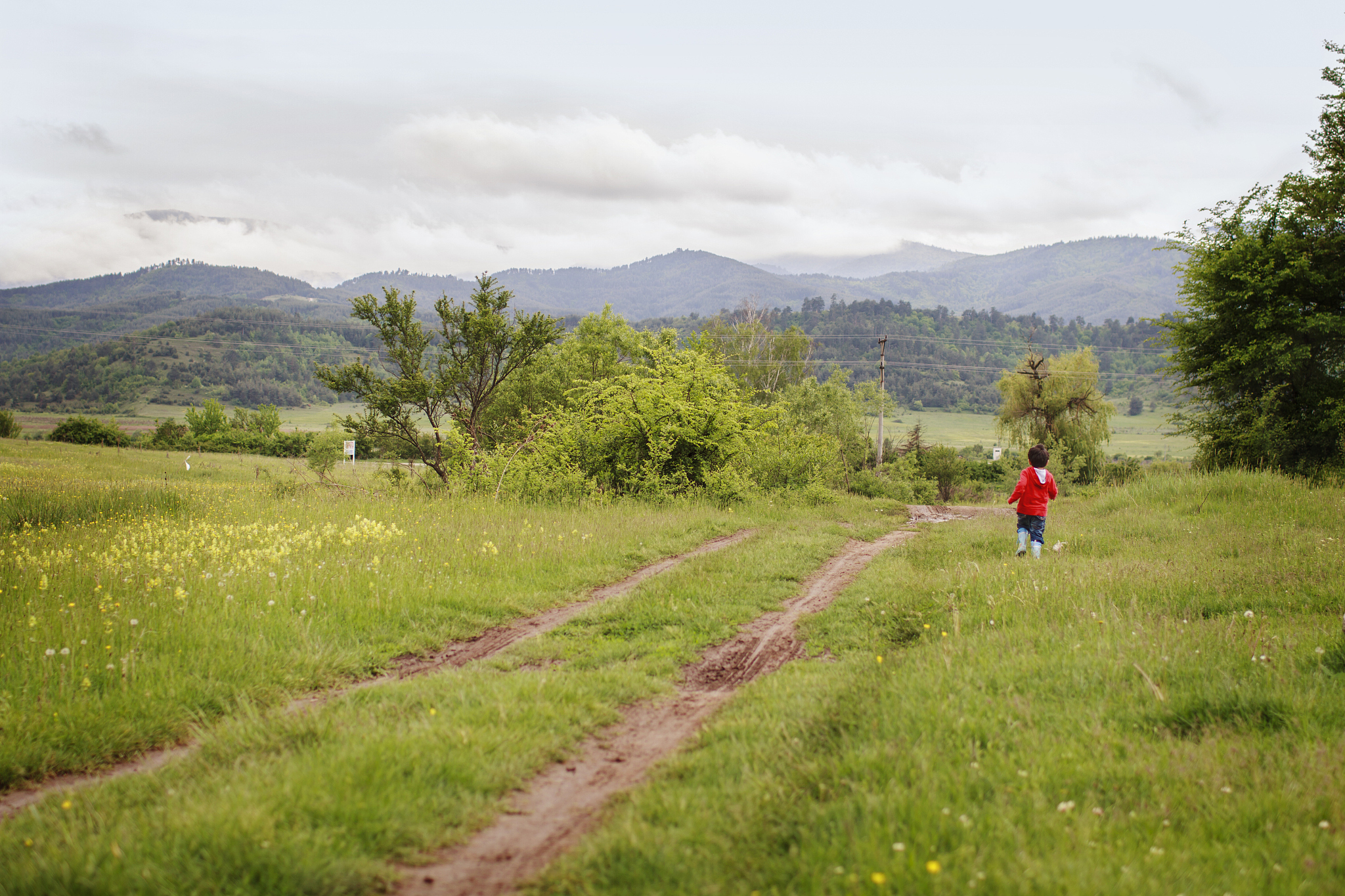 用乡间田野小路行人飞鸟等元素写一首诗