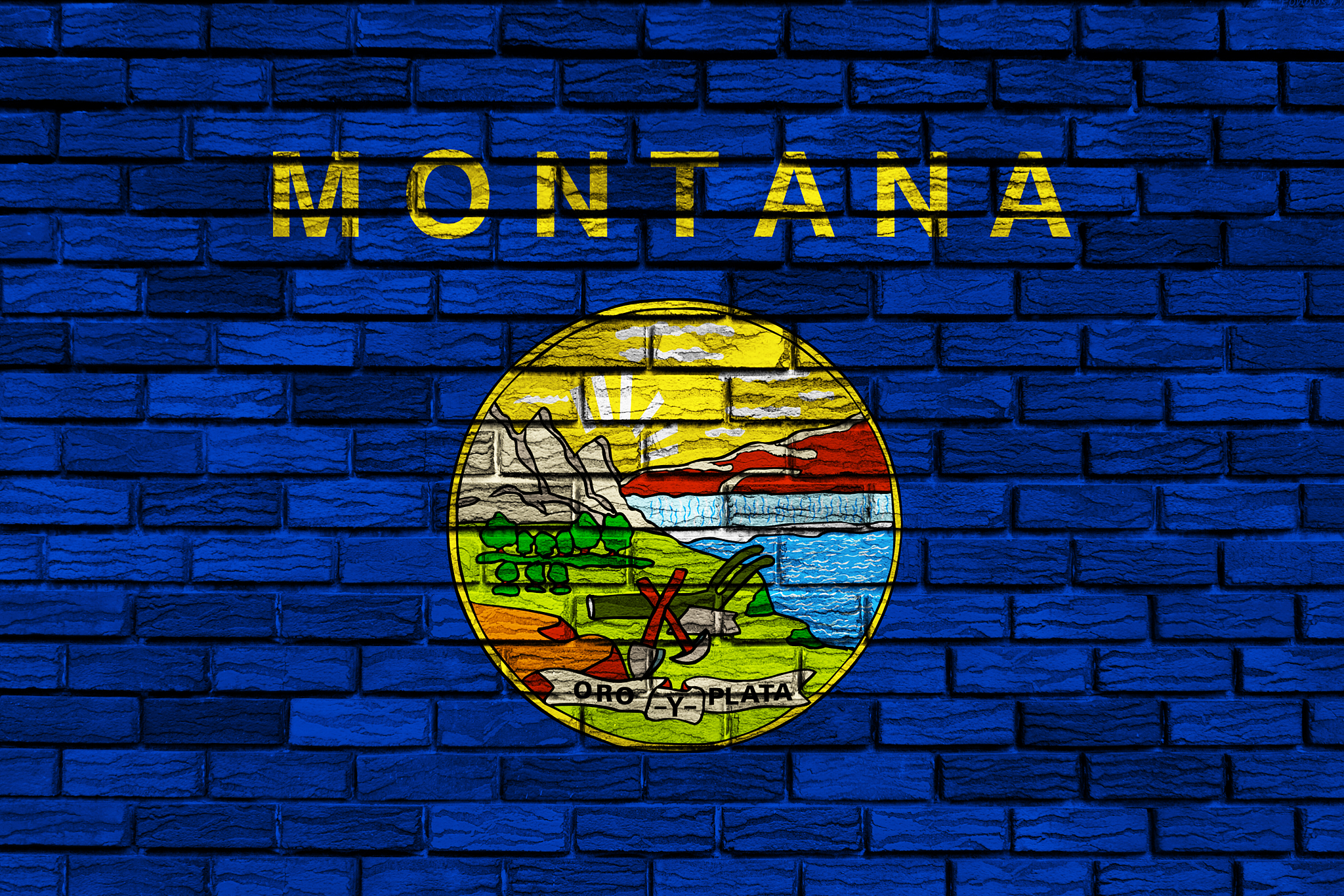 us state flag of montana