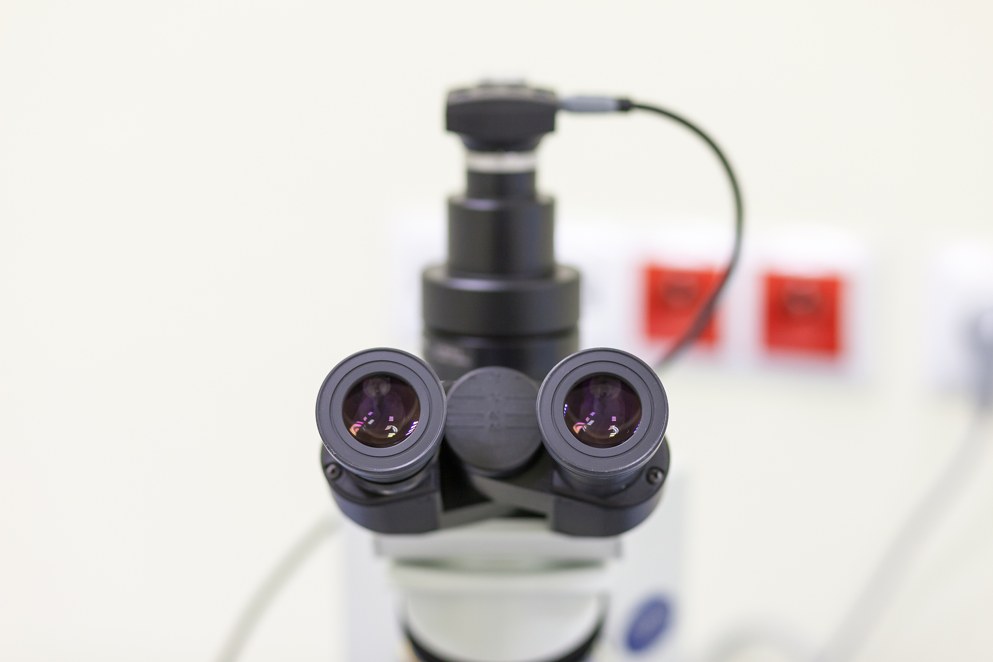 microscope eyepiece.