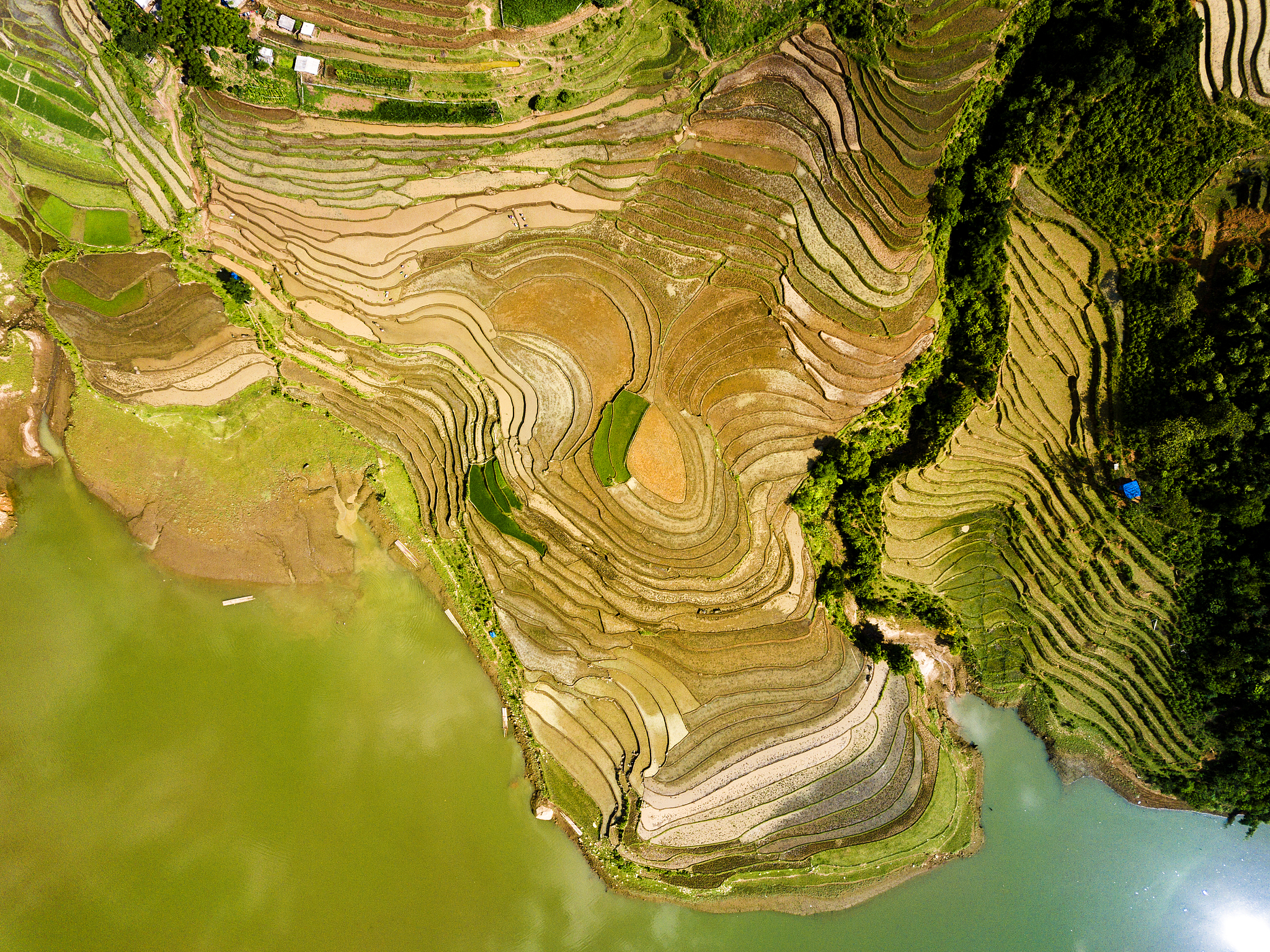rice terraces viewed from air.