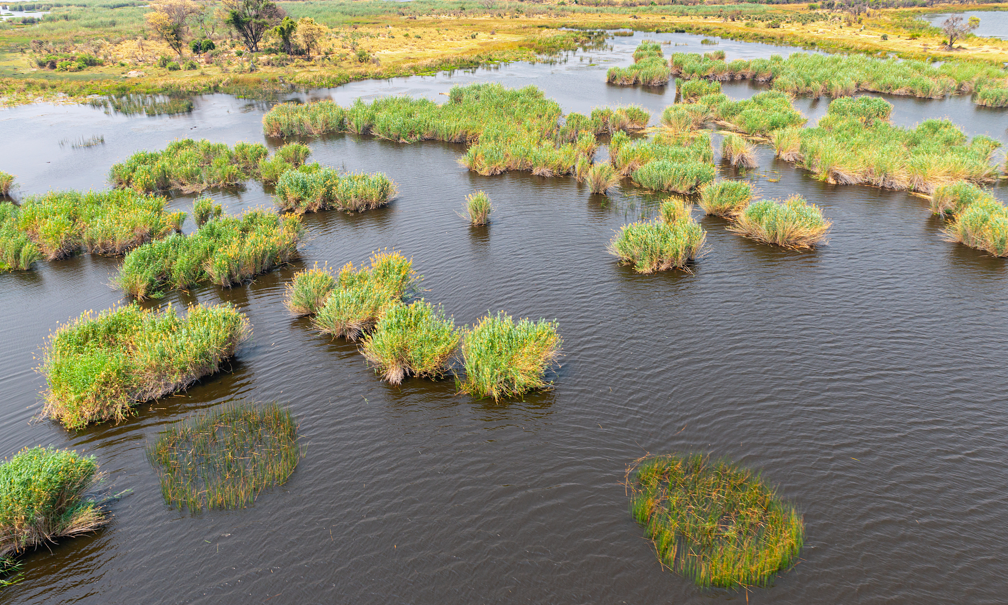 helicopter safari at the okavango delta, botswana
