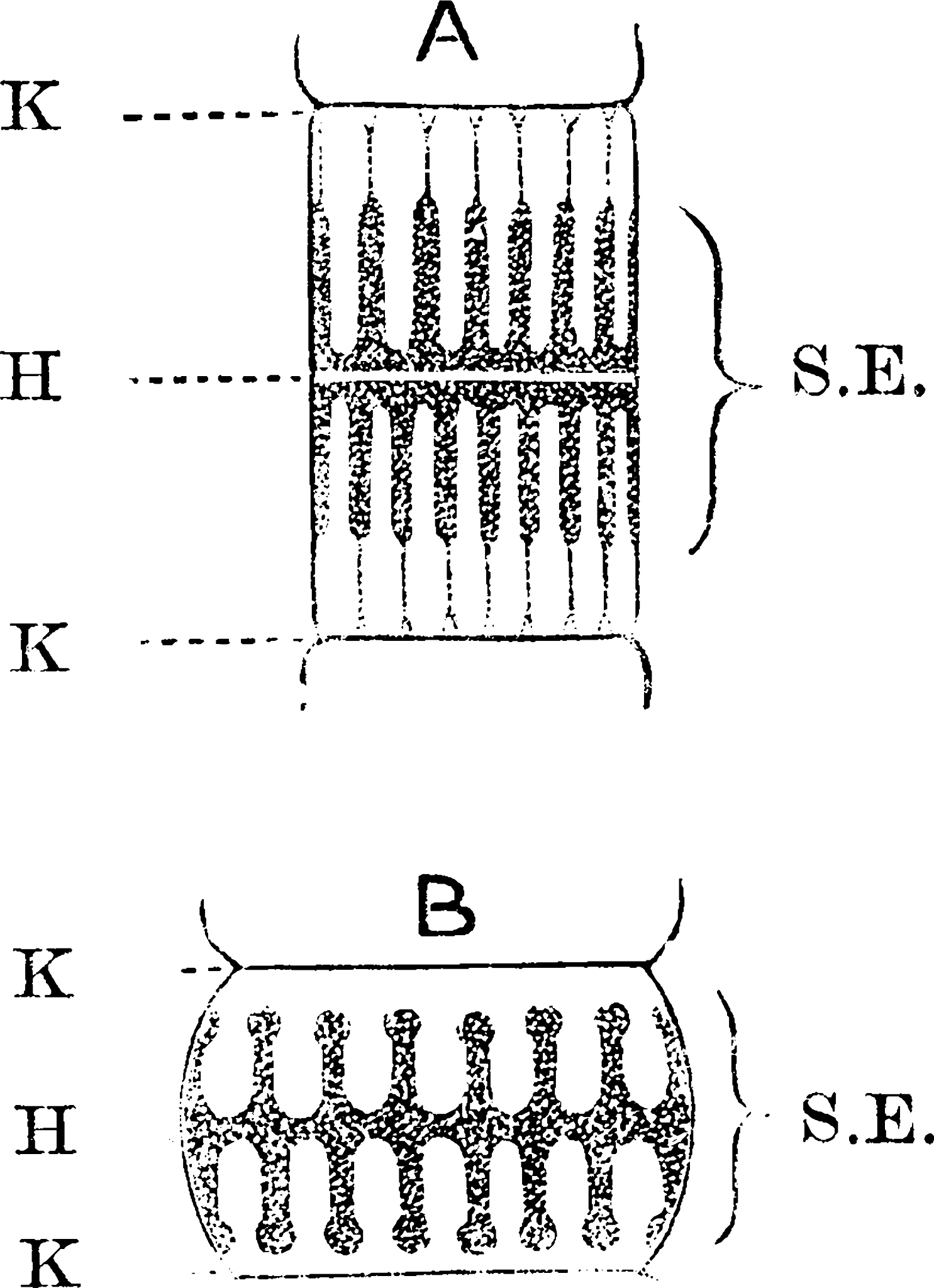 肌原纤维蛋白凝胶 驰豫时间