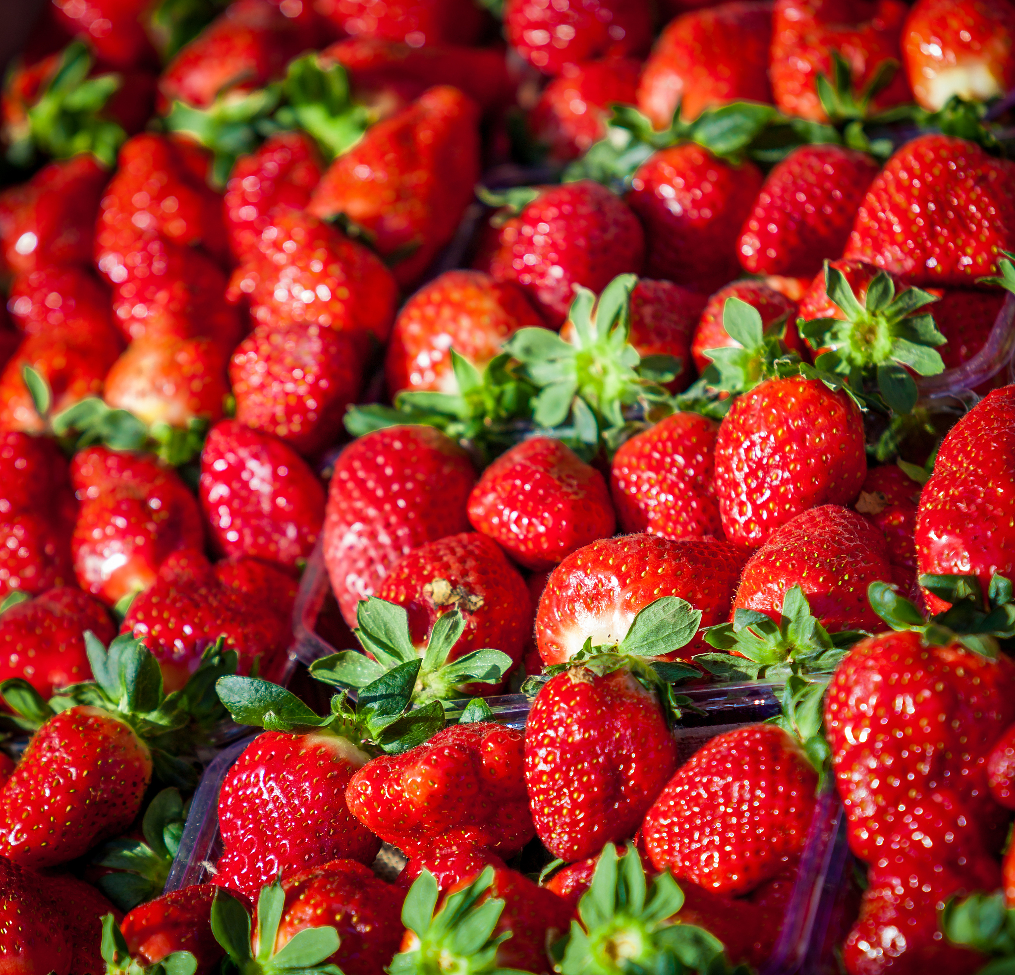 反季节水果：价格高背后的秘密